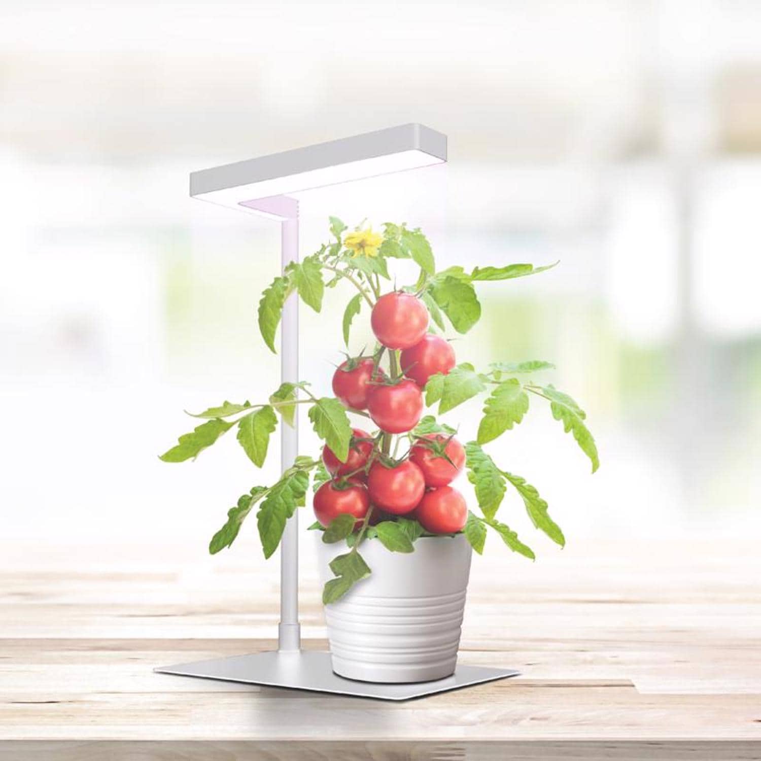 Feit Electric GLP17TABLE14LED Grow-Lights - View #3
