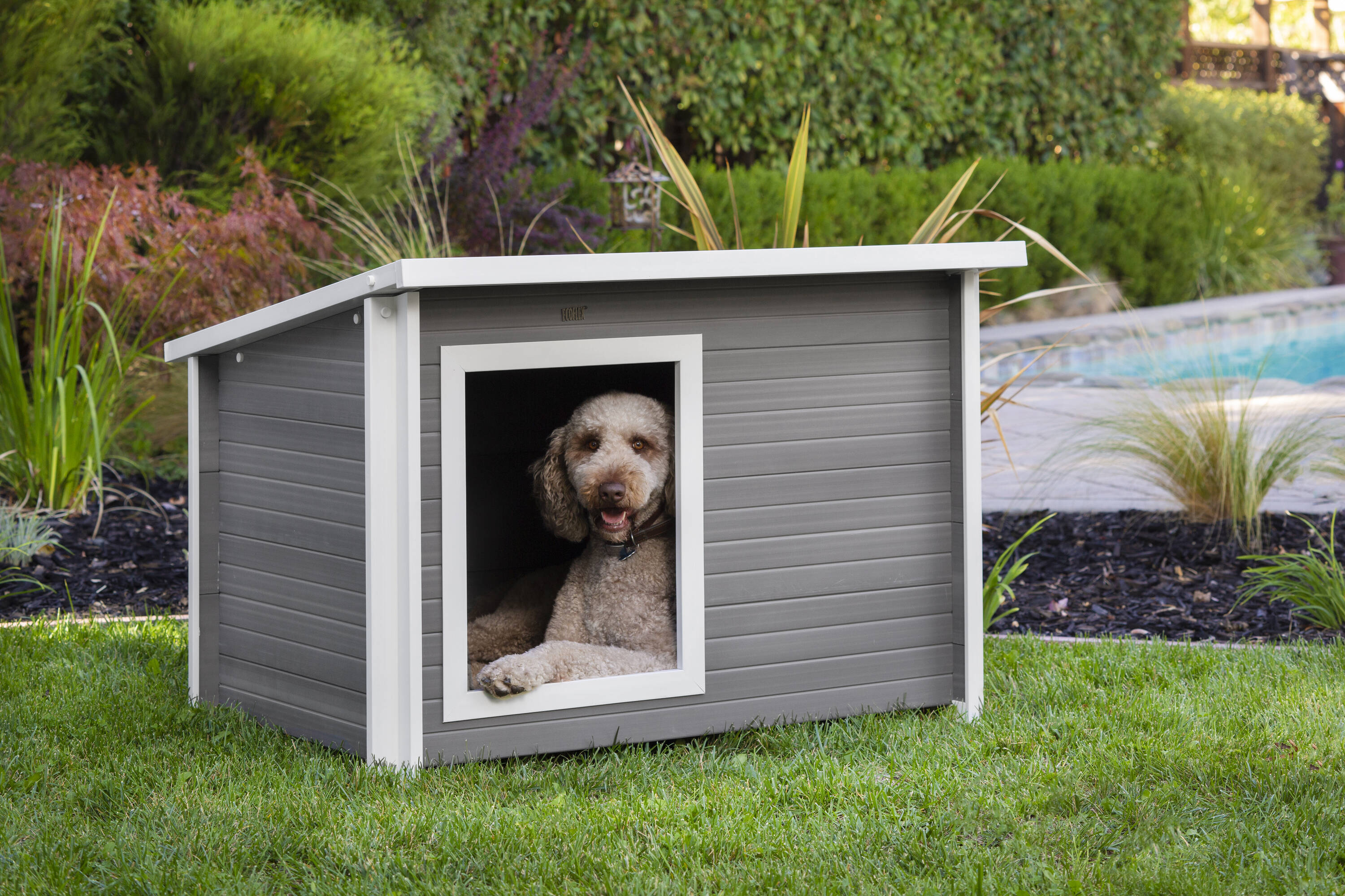 Insulated dog hot sale houses lowes