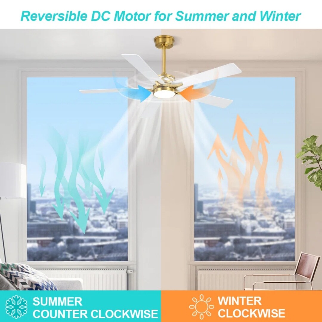 MLIAN WBCF-BS210-GW Ceiling-Fans - View #4
