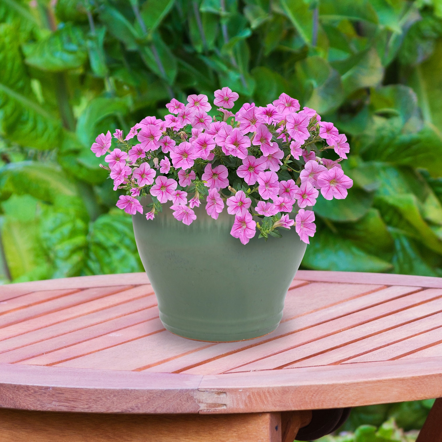 Sunnydaze Decor AP-988 Planter-Window-Box - View #16