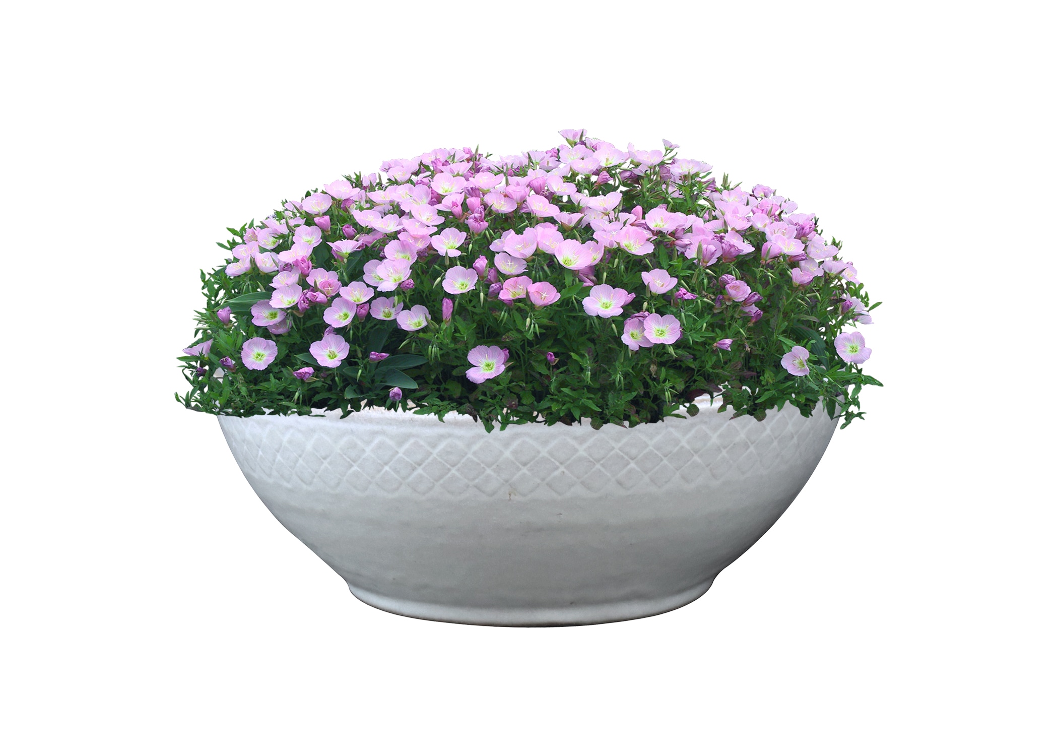 allen + roth GO2025-22 Planter-Window-Box - View #2