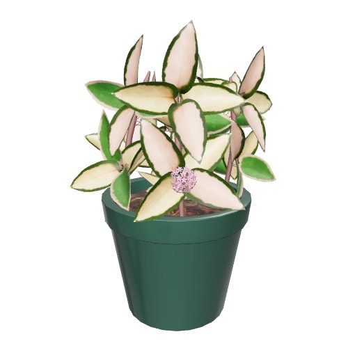 Three-dimensional representation of the product