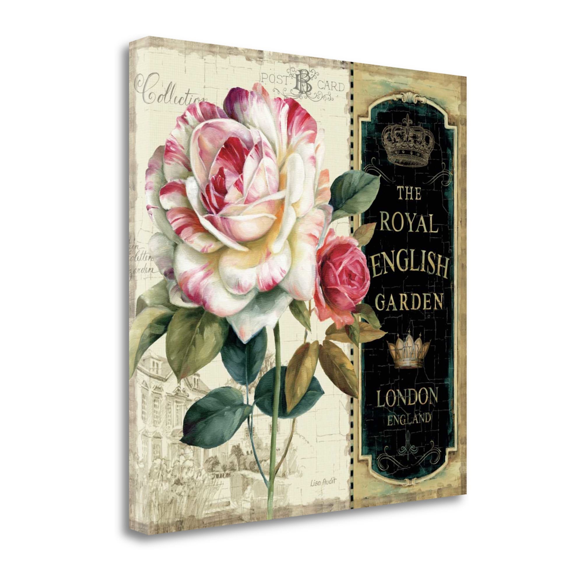 Tangletown Fine Art WA610559-2020C Garden View Iii Lisa Audit 20-in H x 20-in W Floral Print on Canvas