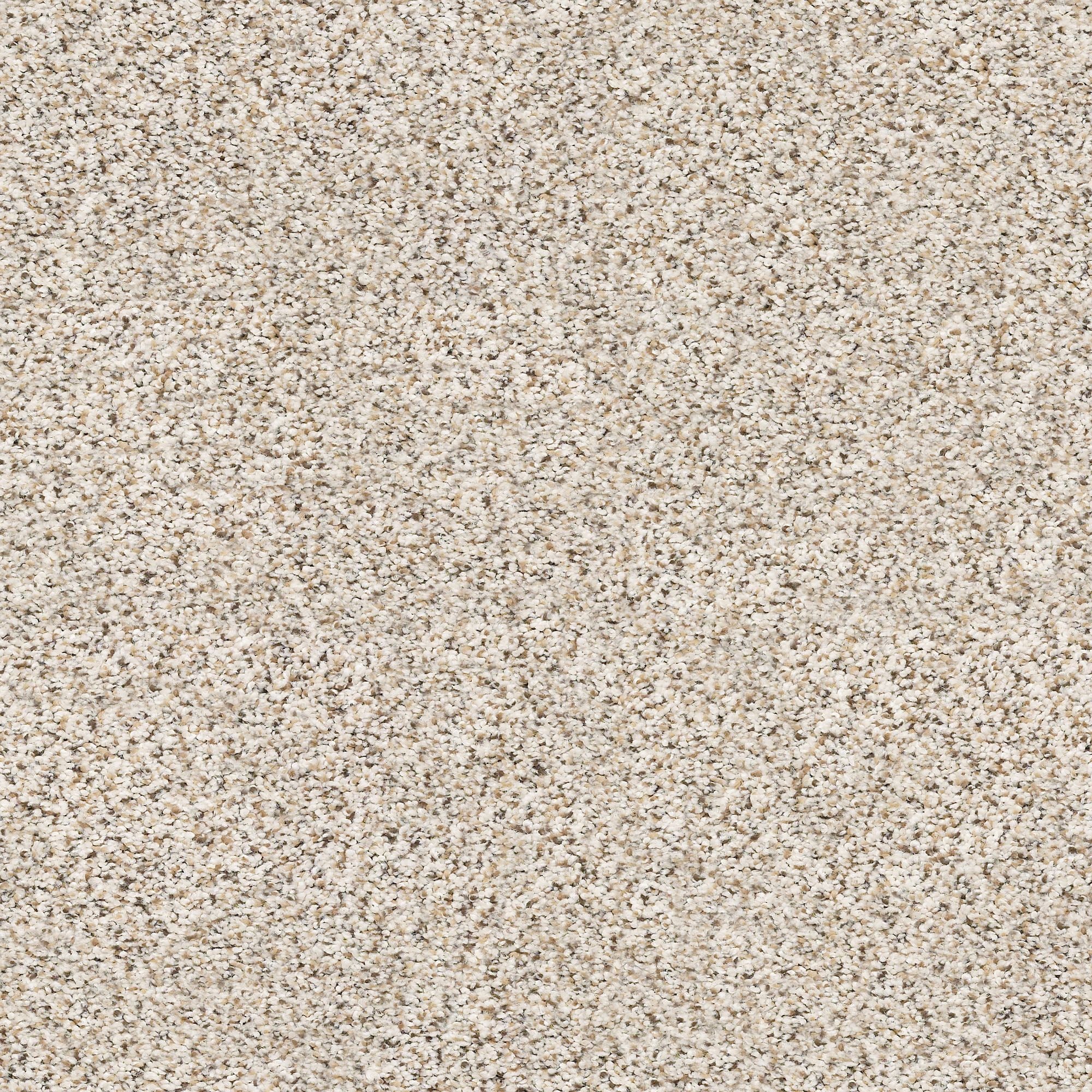 STAINMASTER 7L909 - 170 - SAMP (Sample) Very Dapper I Pixels Off-white 38-oz sq yard Nylon Textured Indoor Carpet