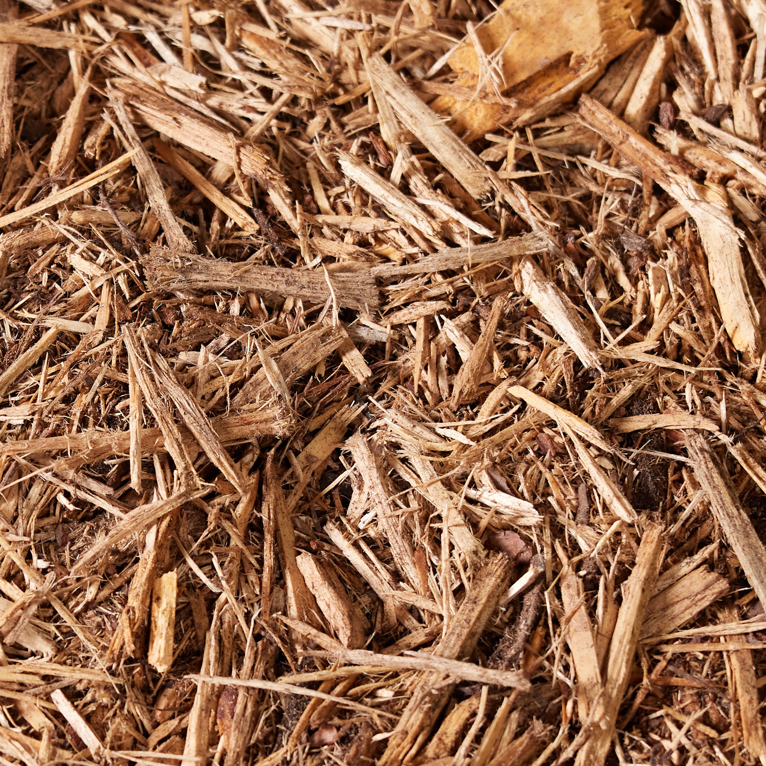  M2CYP-HL Bagged-Mulch - View #6