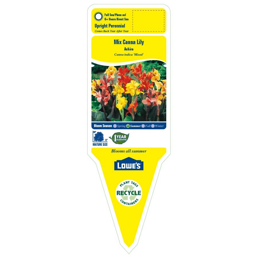 Lowe's NURSERY perennials - View #2