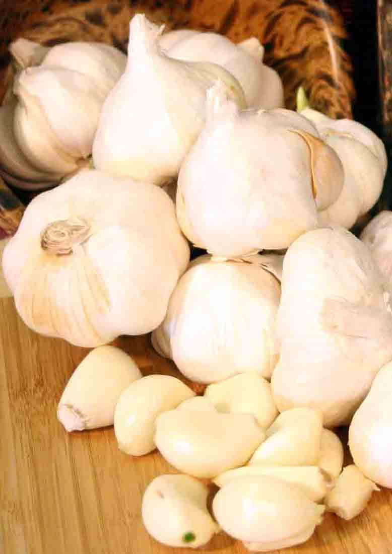  35.23922 No Flowers White California Garlic Bulbs