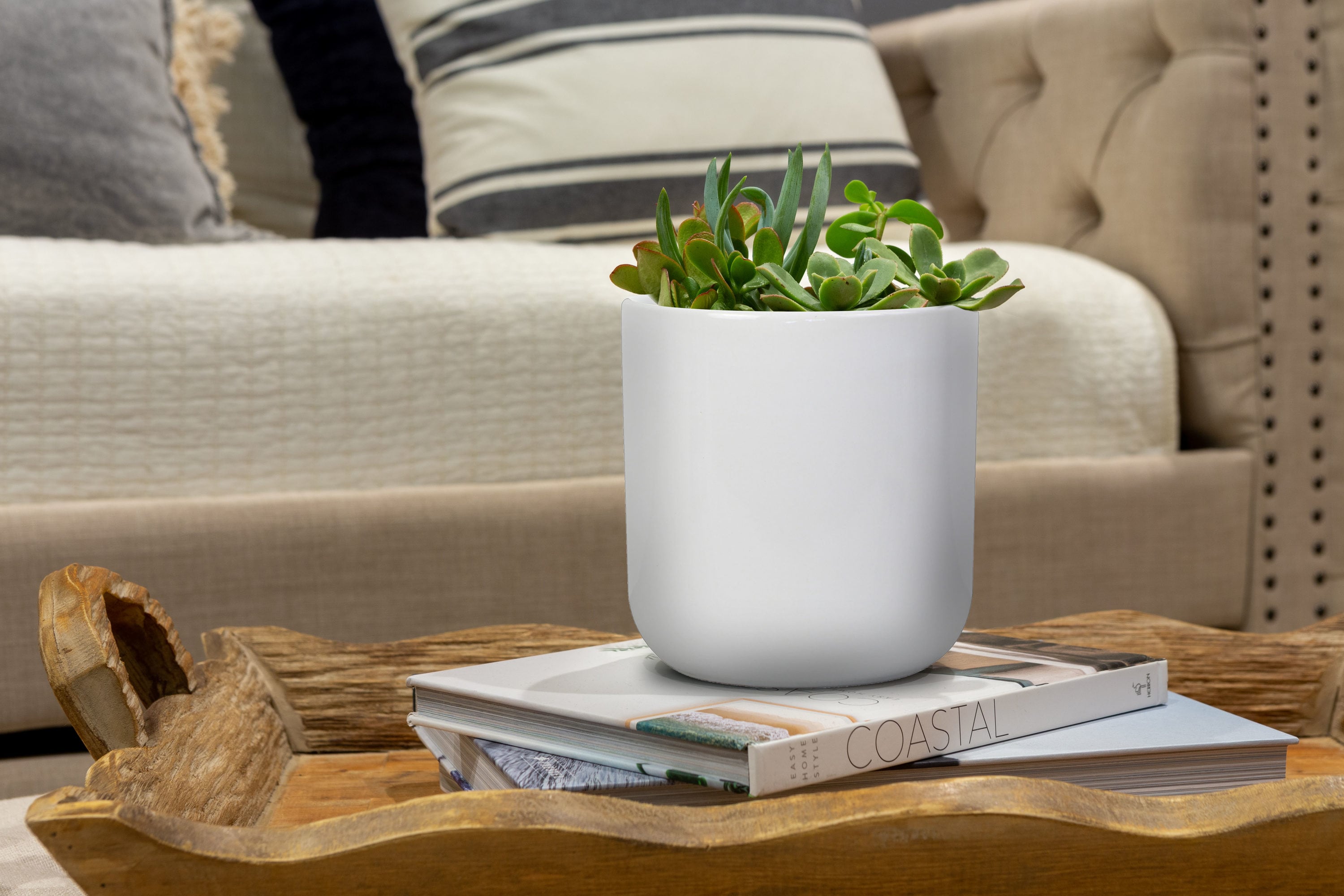 allen + roth CR01893N-05W Planter-Window-Box - View #6