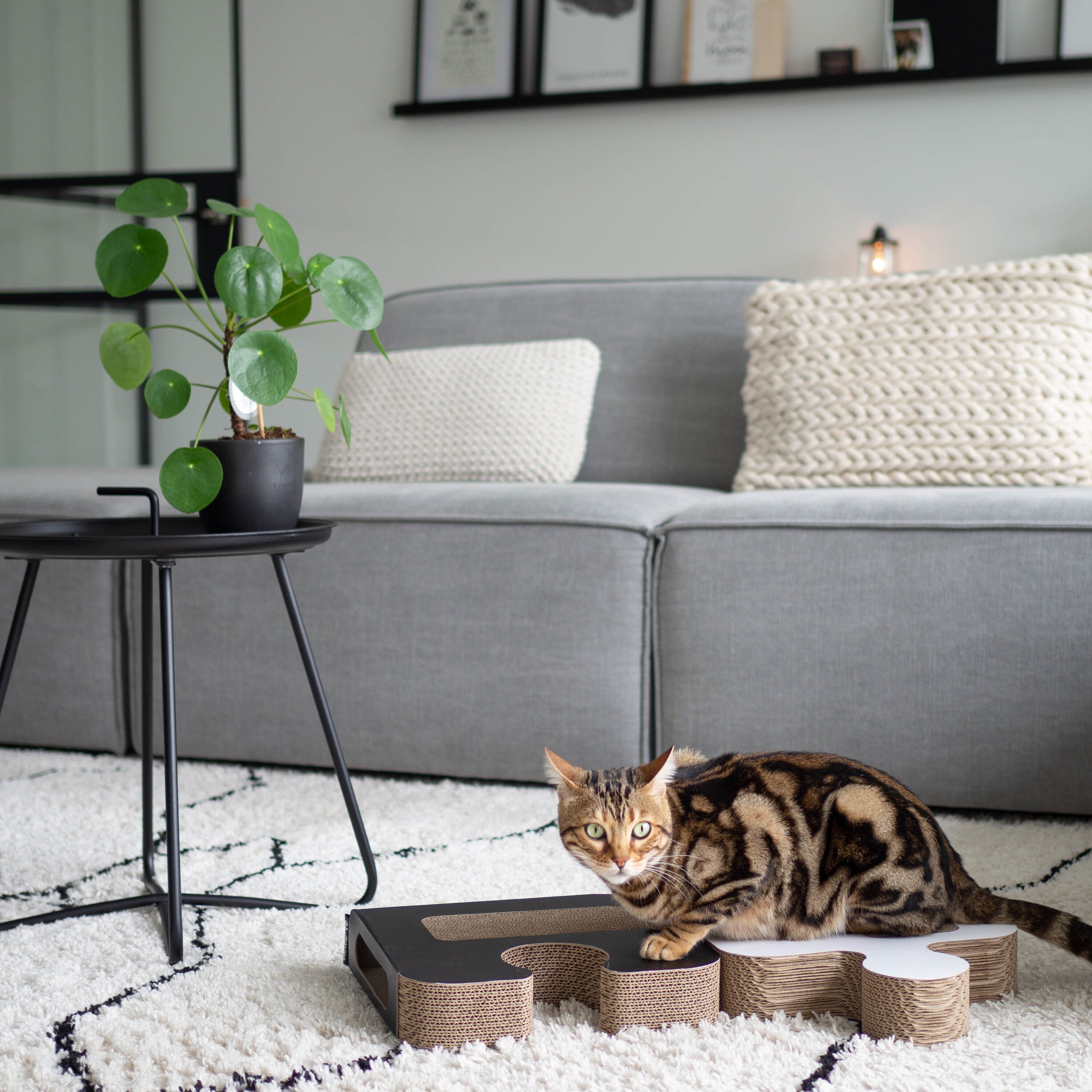 District70 5124 2.6-in x 11.8-in Black Cat Scratching Post