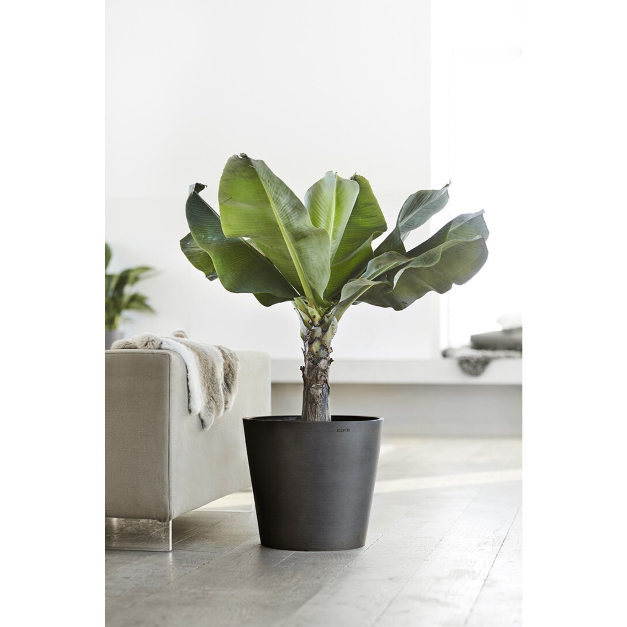 ECOPOTS 5411942740643 Planter-Window-Box - View #3