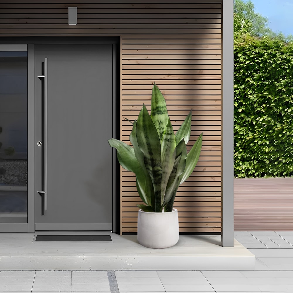 Tinyhomie LW-JA-3P321578W327 Planter-Window-Box - View #10