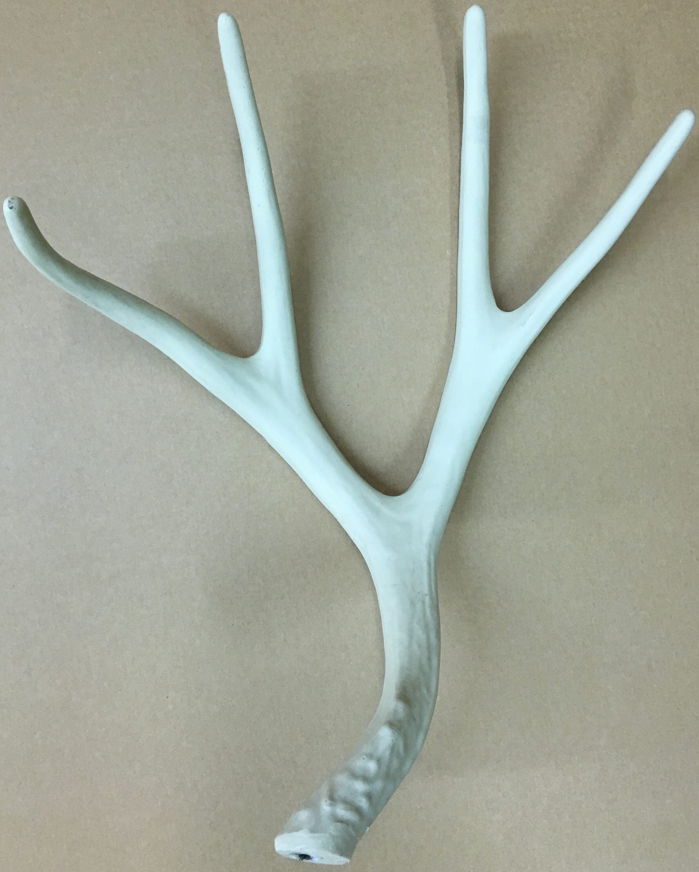 Canadian Antler Design CLR-8-XL-W b090015 - View #7