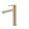 Brushed Gold/Stainless Steel