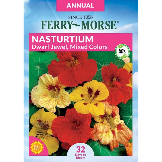 Ferry-Morse Nasturtium Dwarf Jewel Mixed Colors Flower Seeds (Seed ...