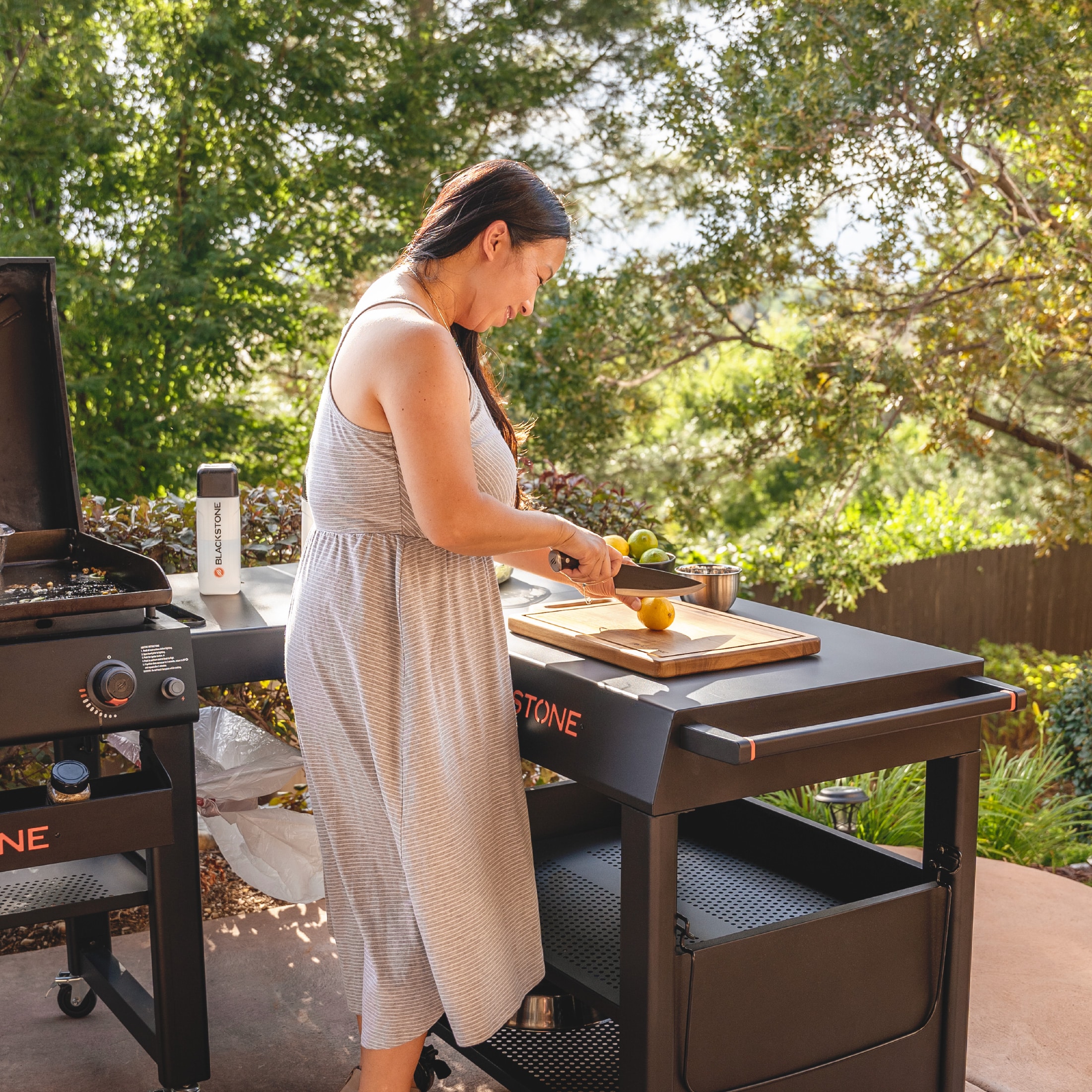 Grill cart Grills & Outdoor Cooking at
