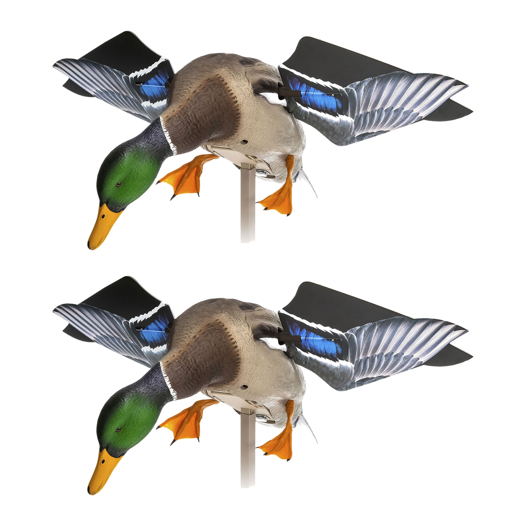 Avian X  PowerFlight Mallard Weatherproof Realistic Spin Wing Duck Decoy 2 Pack