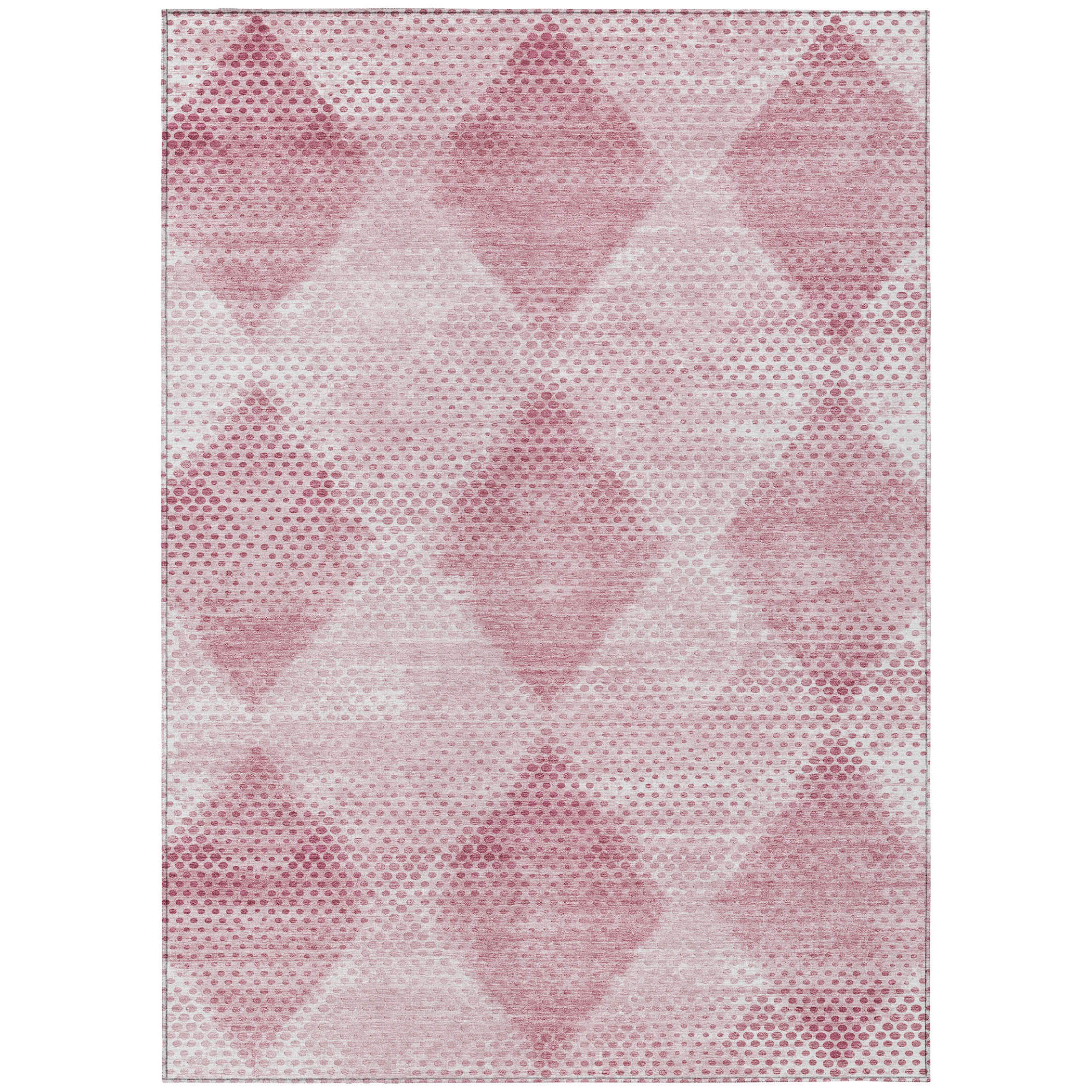 Addison Rugs ACN539MM30X46 rugs - View #2