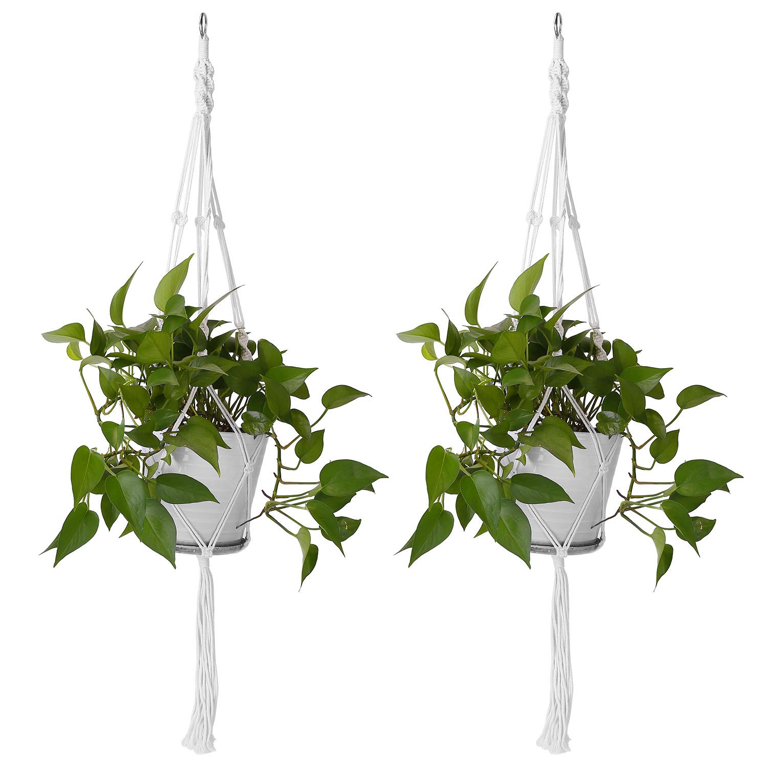 AHIOU HOME ZAAHD-HAWM2VPP Planter-Window-Box - View #4