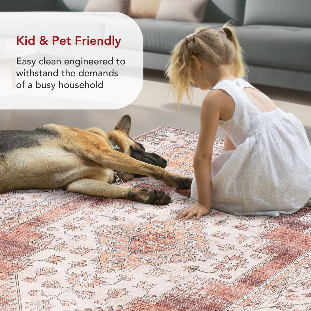 nuLOOM BIRV33A-2608 rugs - View #6