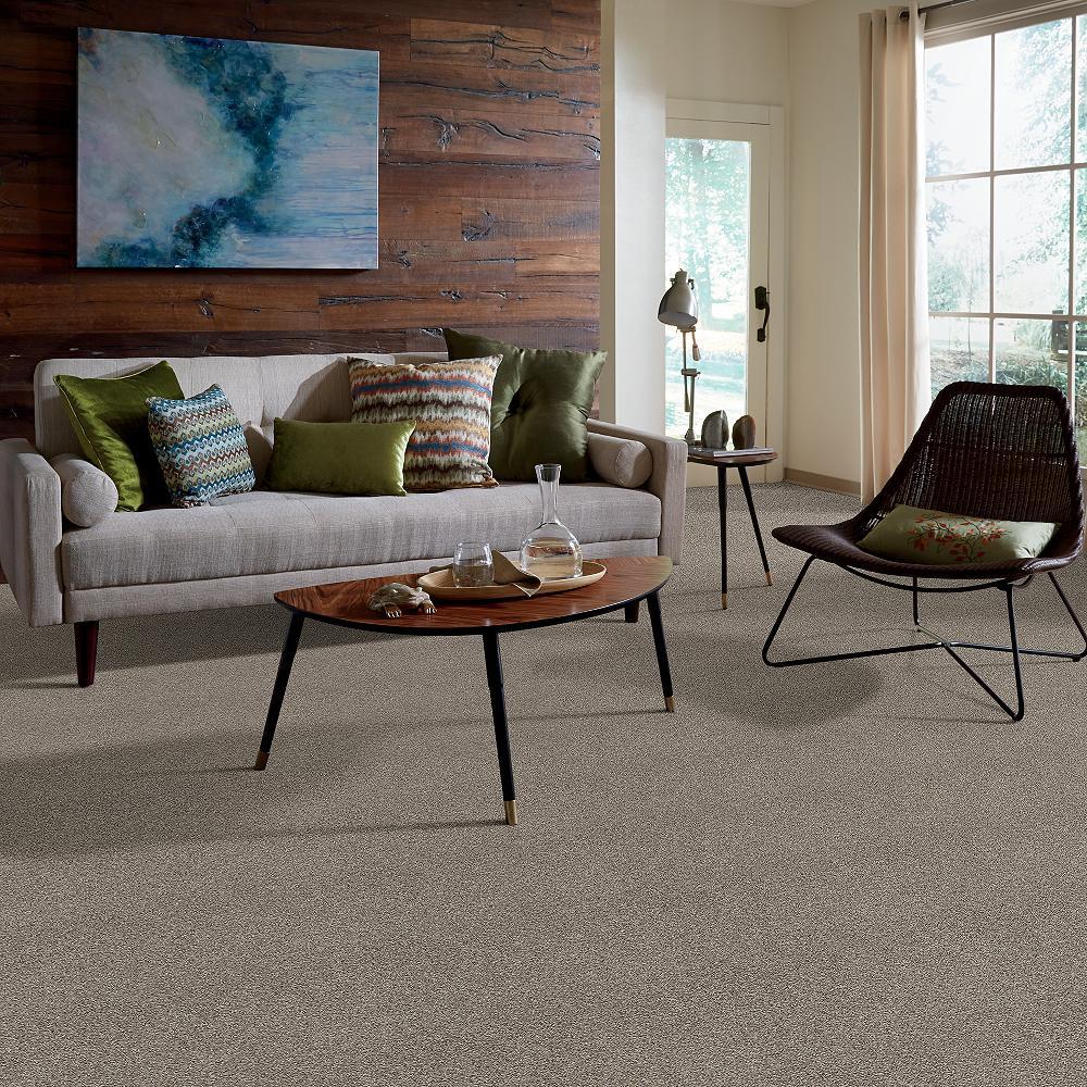STAINMASTER 7L70100503  - View #5