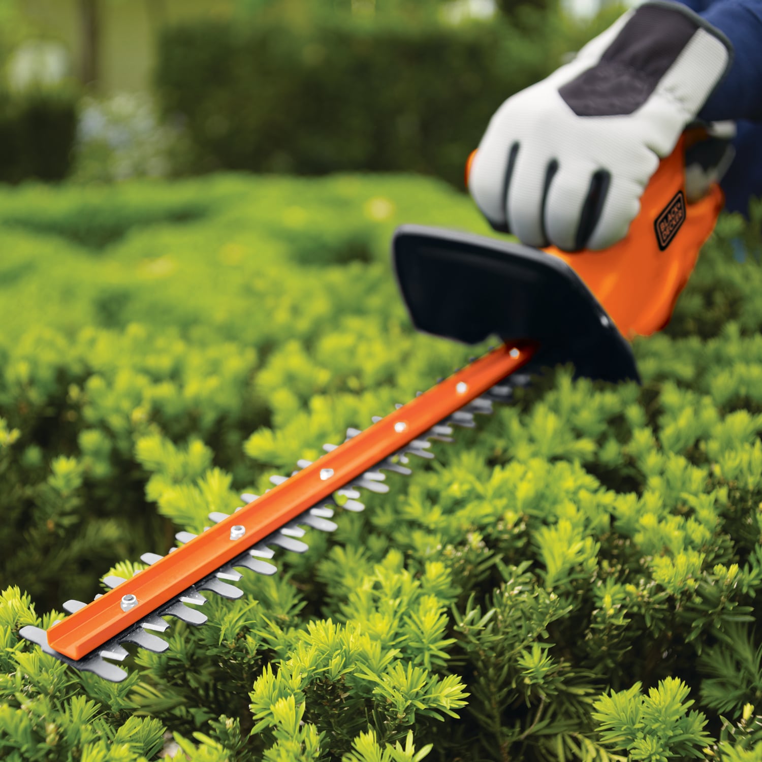 BLACK+DECKER 17 in. 3.2 Amp Corded Dual Action Electric Hedge Trimmer -  Yahoo Shopping