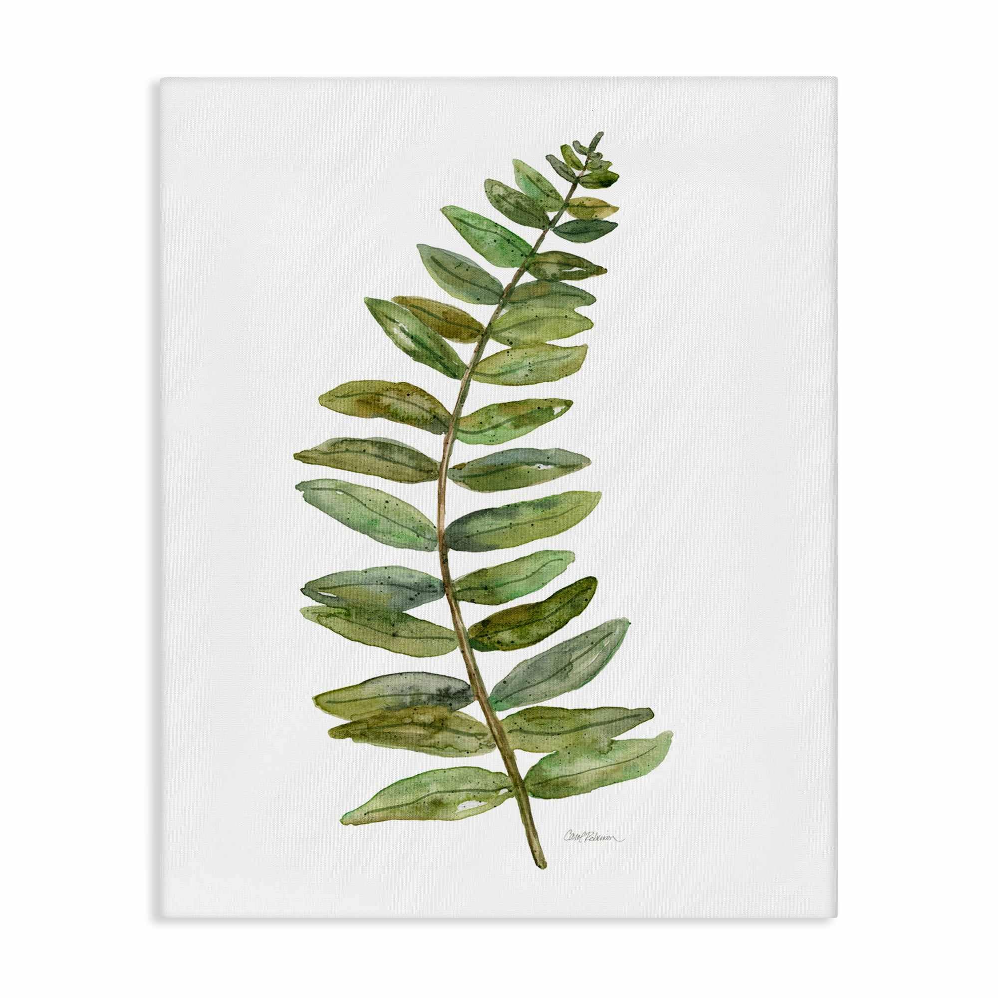 Stupell Industries BU-100-CN-36X48 Curved Fern Branch Canvas Wall Art 36 x 48