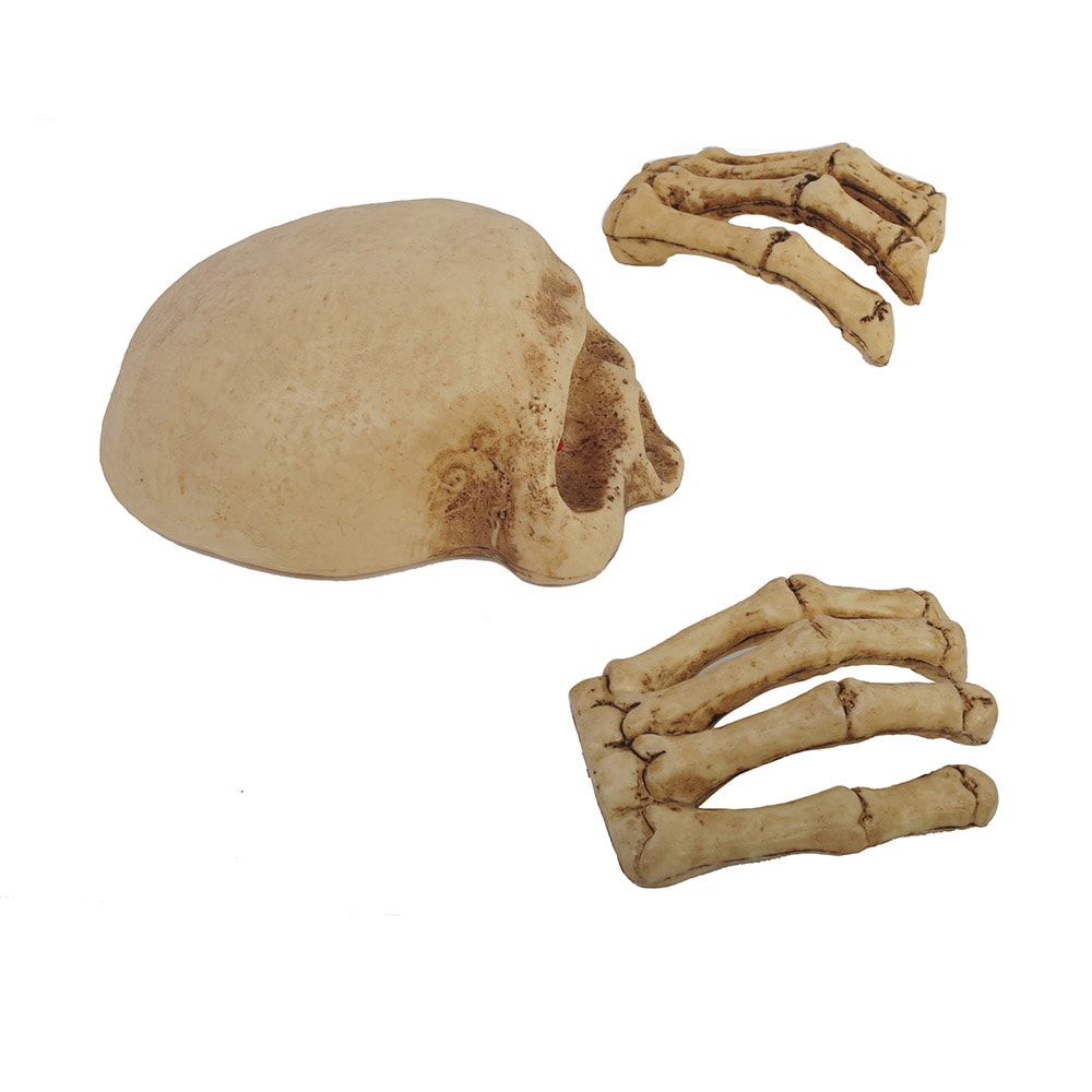 Haunted Living 91498TPQLW Table-Halloween-Decor - View #3