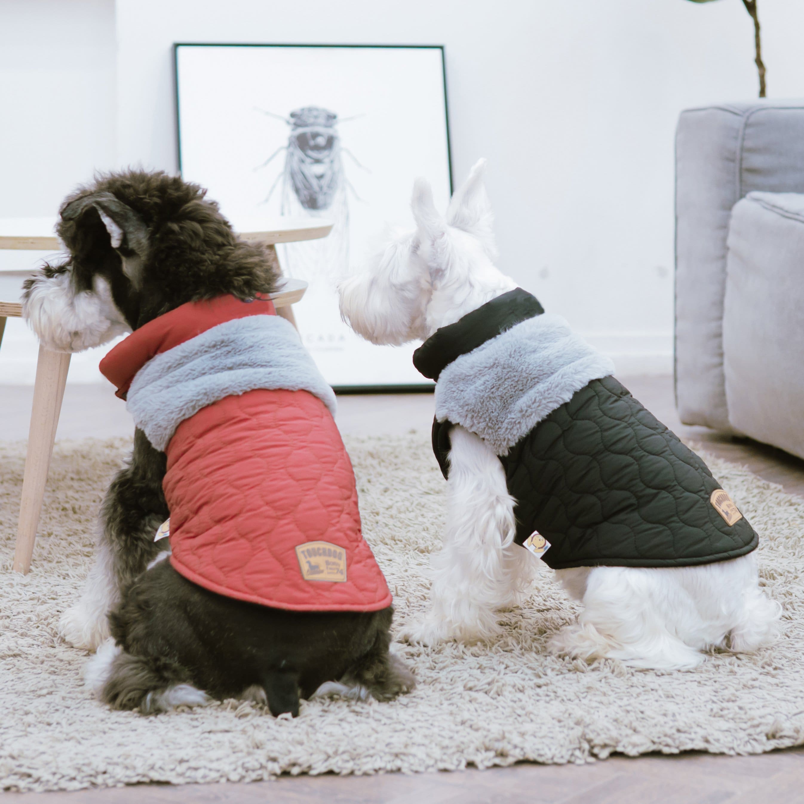 Touchdog JKTD14GNXL Dog-Apparel - View #5