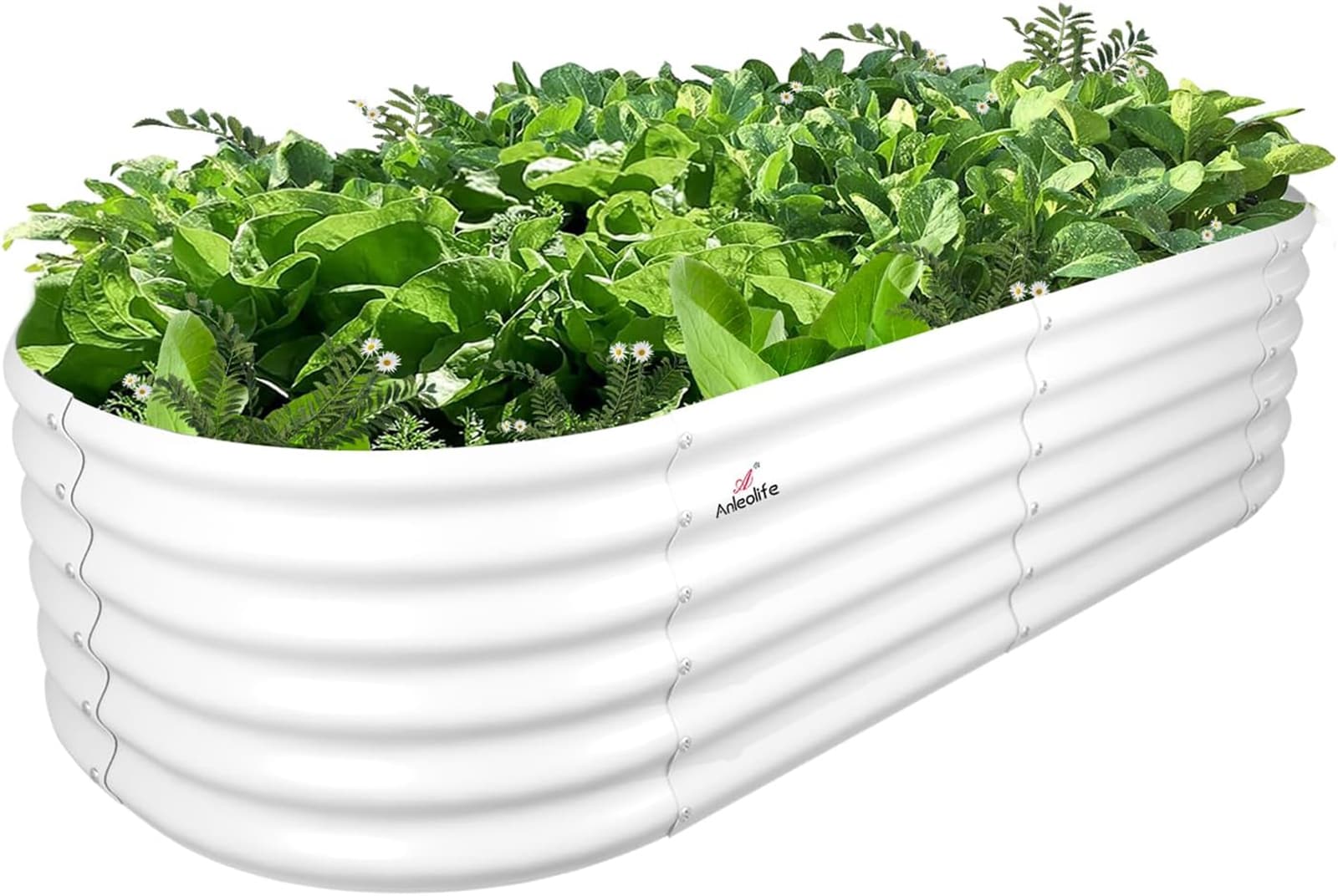 Yulika RGBELL025 Raised-Garden-Beds - View #6