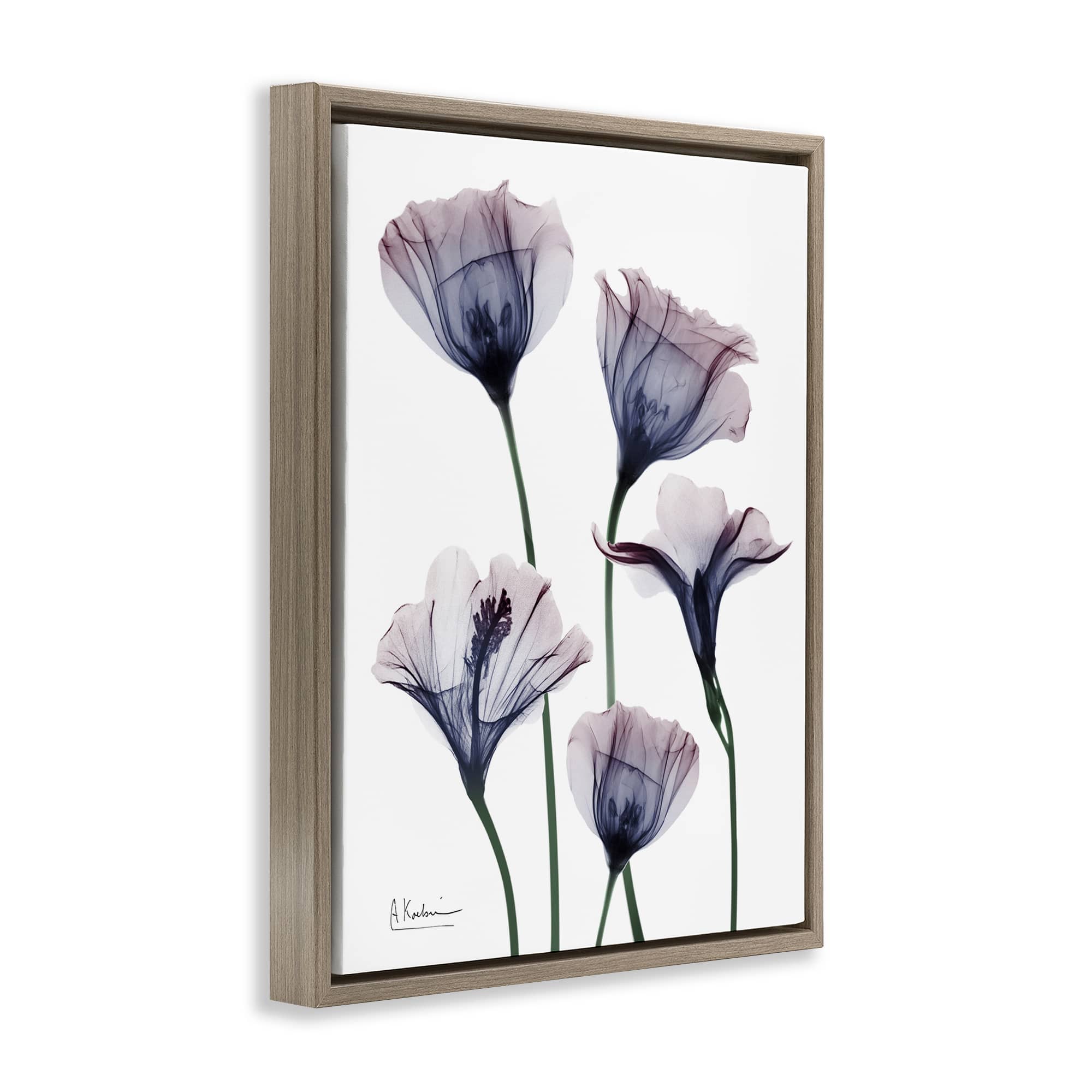 Stupell Industries BS-025-FFE-16X20 Wall-Art - View #2