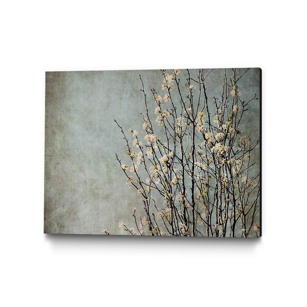 GIANT ART PIHZ-048_2418MM Wood 18-in H x 24-in W Abstract Print on Canvas