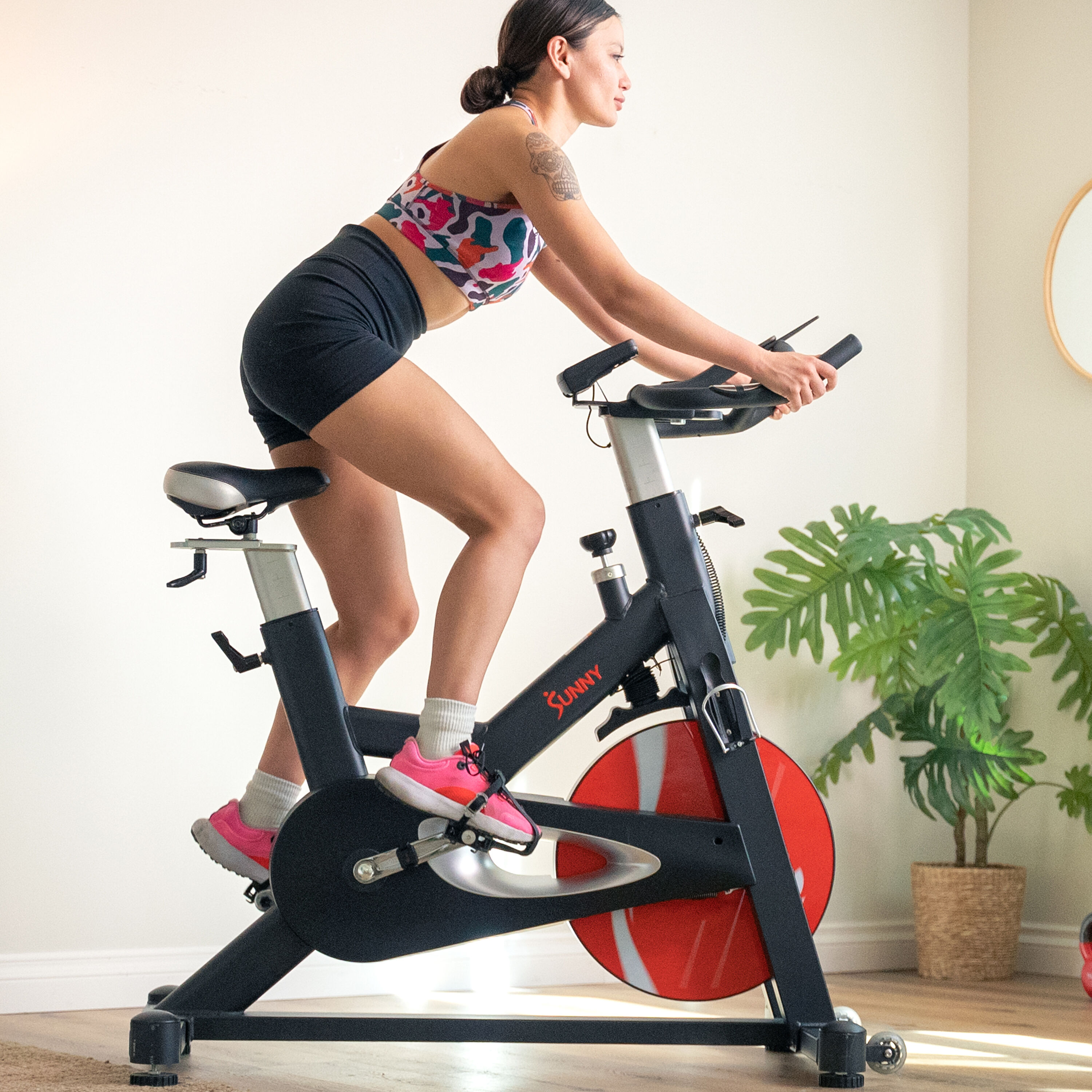 sunny health & fitness exercise bikes