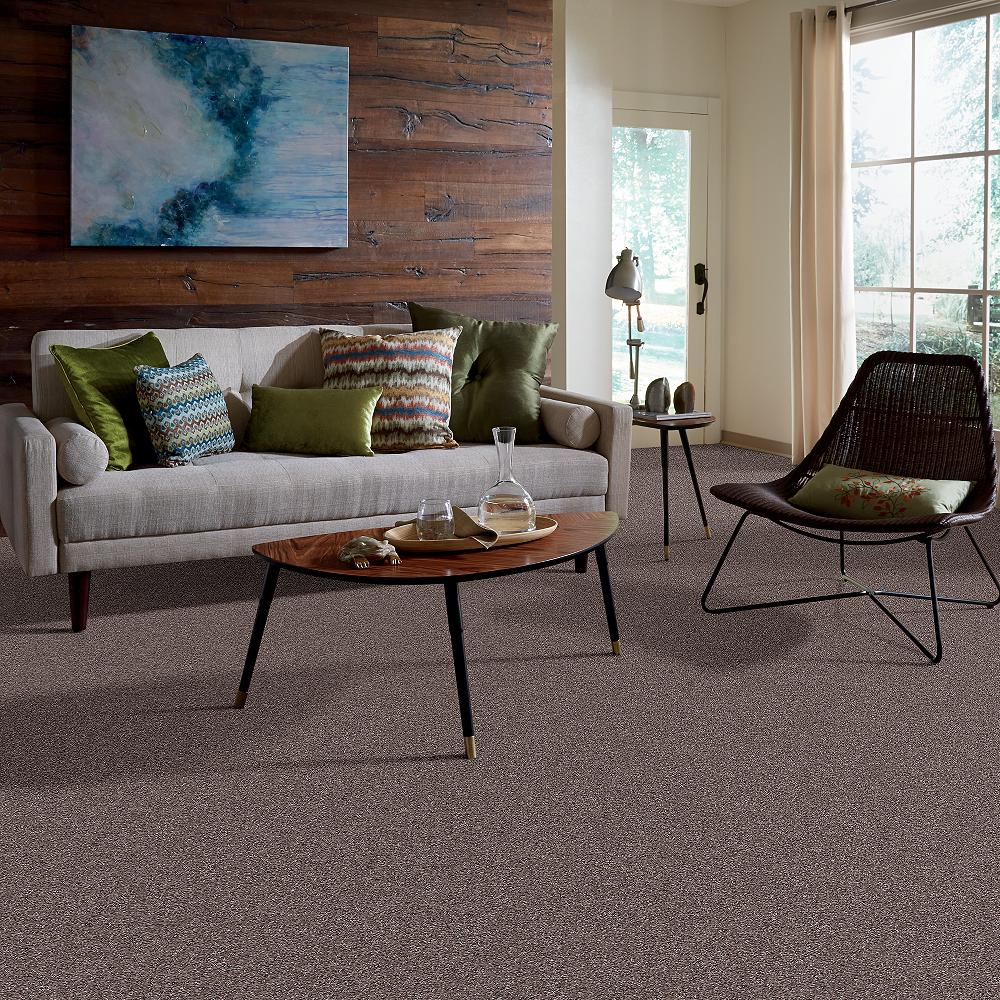Style Selections Reclaim RR Heirloom Textured Indoor Carpet in the