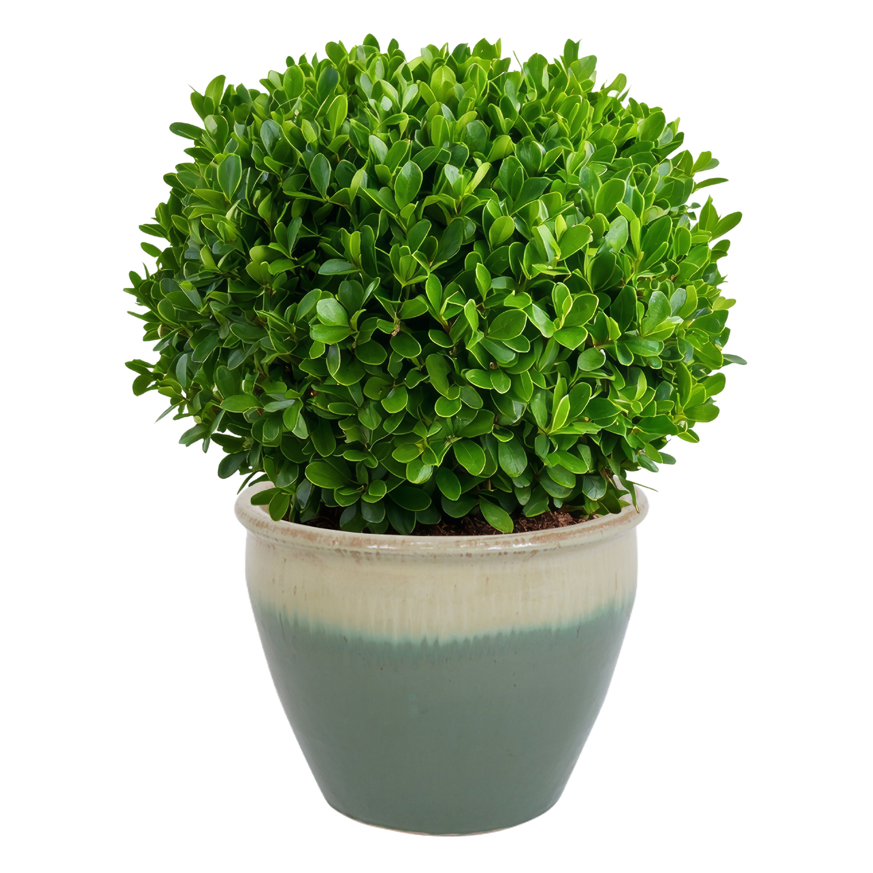 Sunnydaze Decor AP-834 Planter-Window-Box - View #7