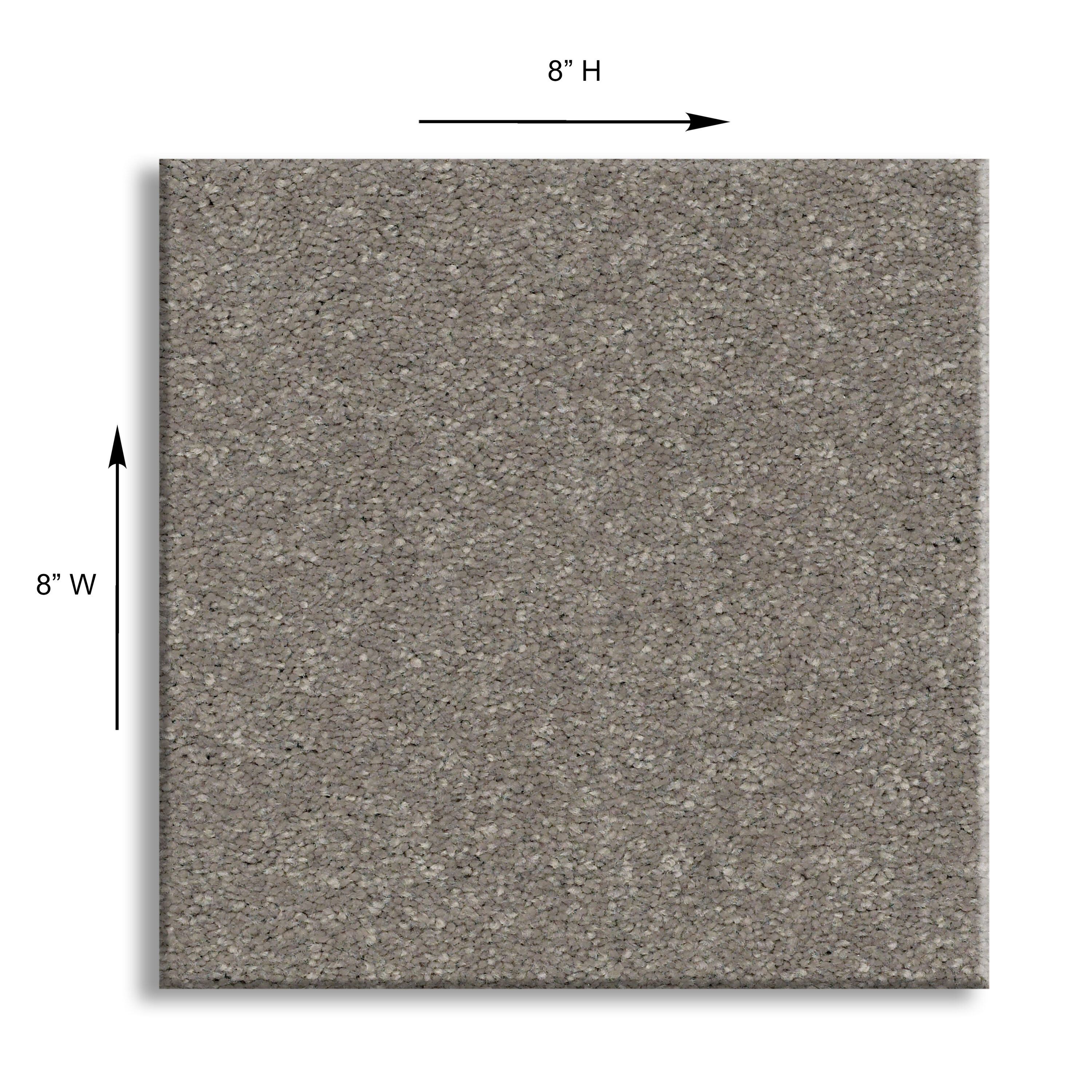 STAINMASTER 7L764-700-SAMP Carpet-Samples - View #5