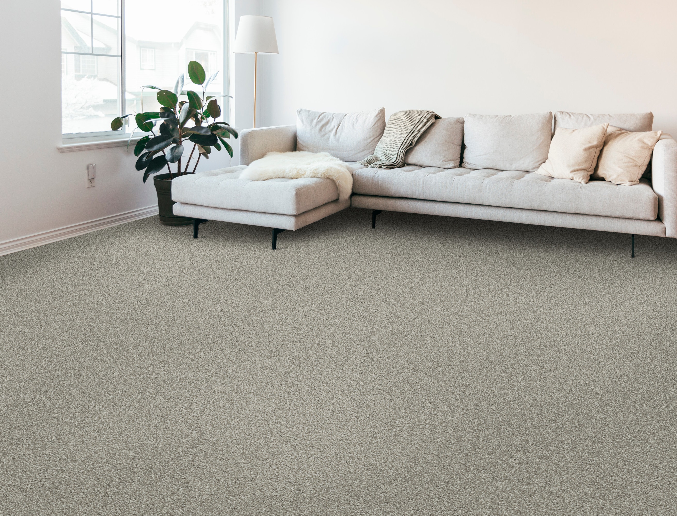 STAINMASTER PetProtect 7L929-535-SAMP Carpet-Samples - View #3