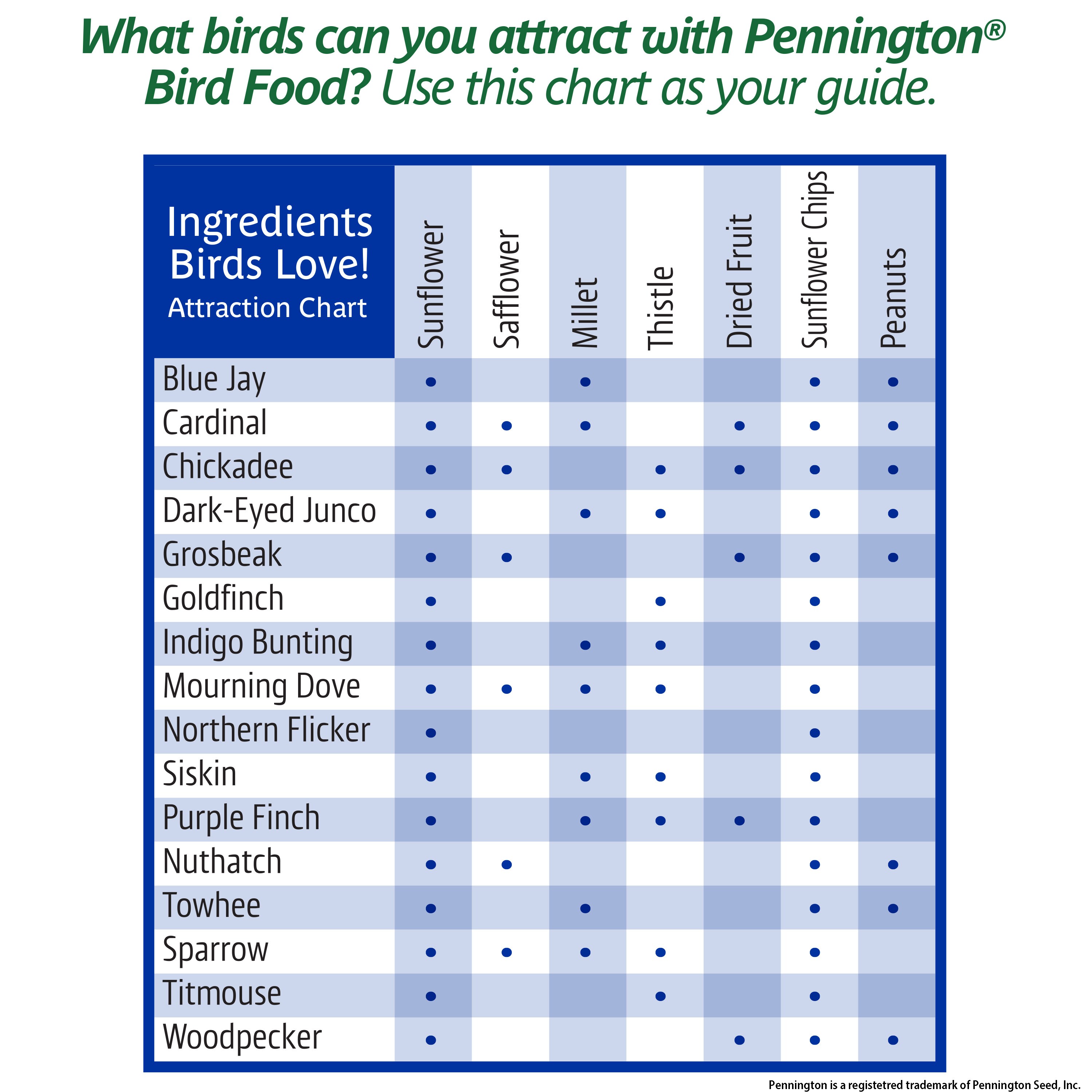 Pennington 100541089 Bird-Squirrel-Food - View #7