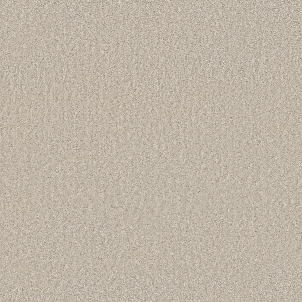 STAINMASTER L5014-1204-1200-AB Joyful Sound III Wings Beating Off-white 65-oz sq yard Solution-dyed polyester Textured Indoor Carpet
