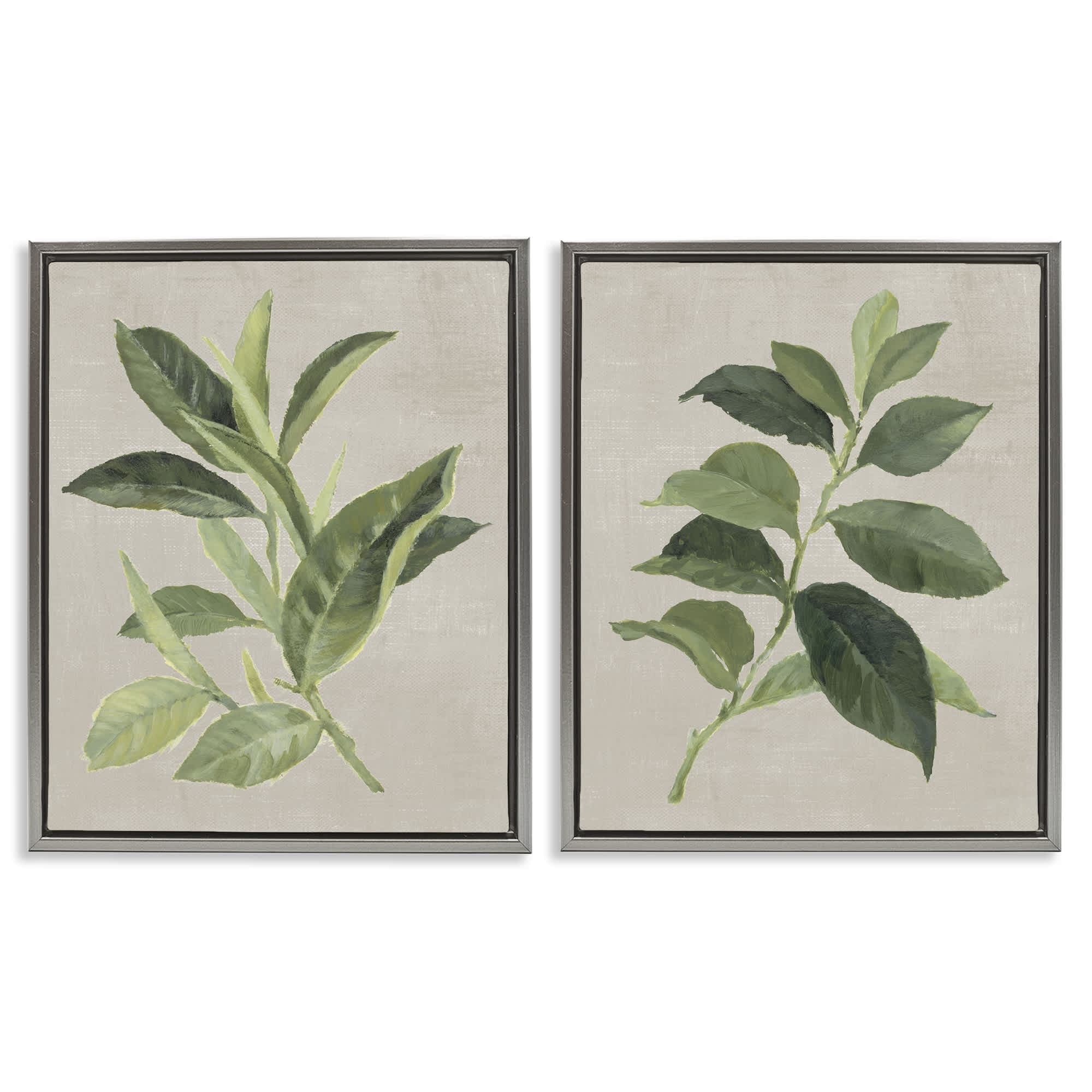 Stupell Industries B2-816-FFL-2PC-16X20 Green Tea and Coffee Plant Leaves 2 Piece Gray Framed Floater Canvas Set By Lanie Loreth 17 x 21