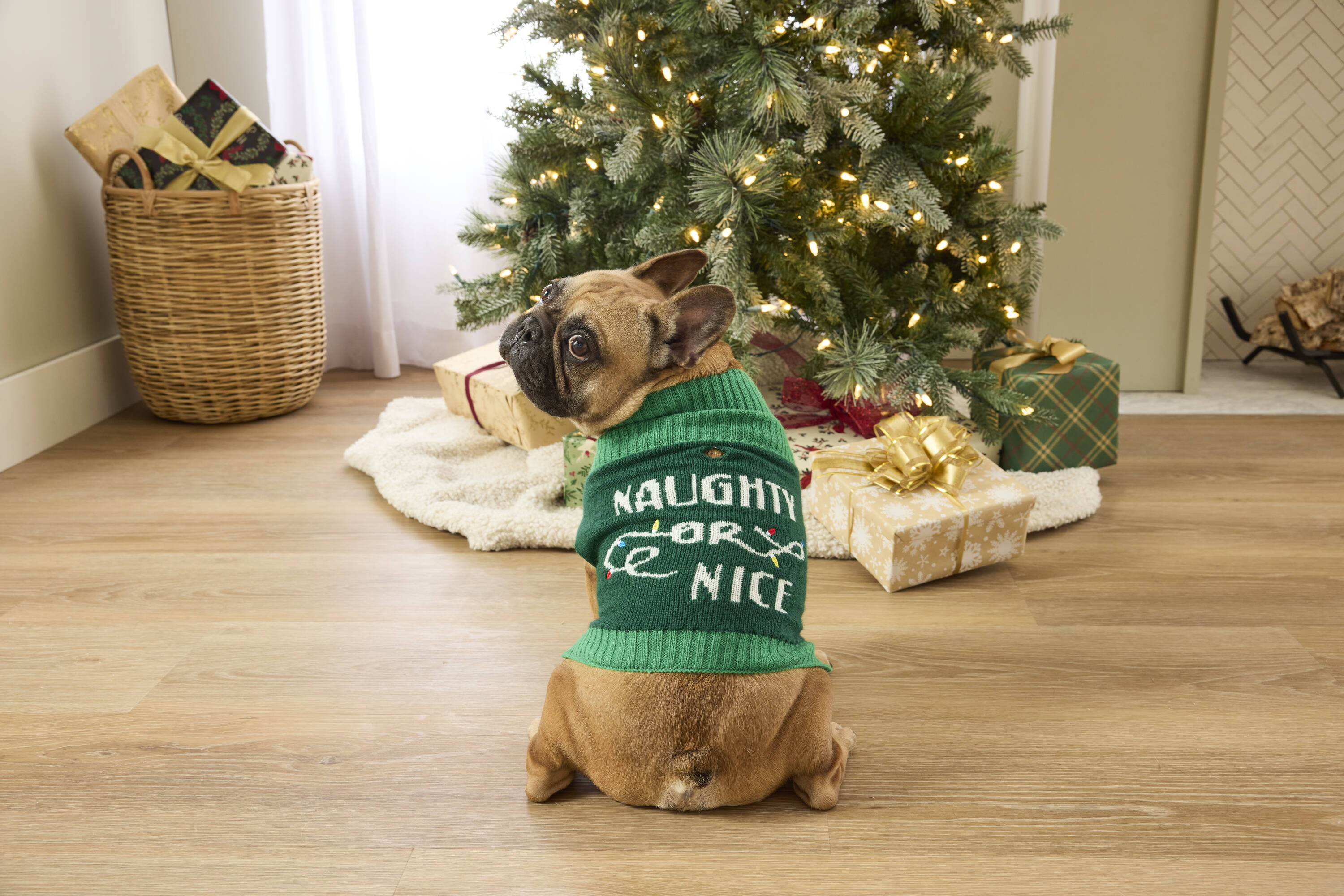 dog knit sweater Cable Knit Dog Sweater main image 0
