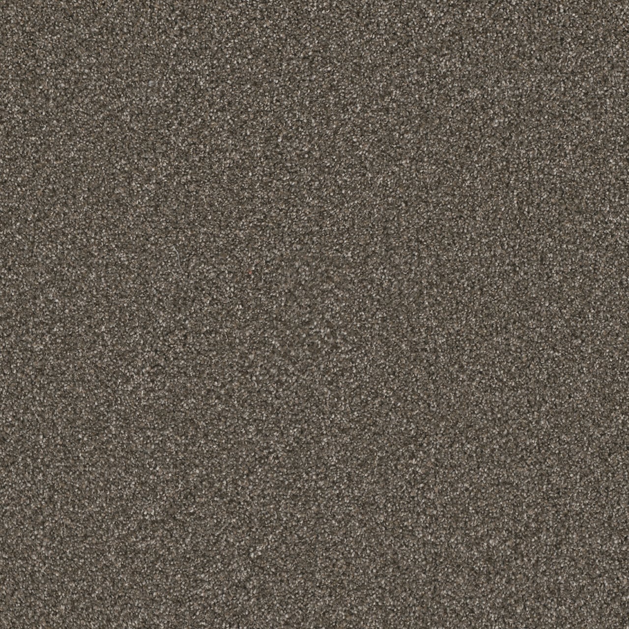 STAINMASTER L5018-1811-1200-AB Royal Flush I Deuces Gray 60-oz sq yard Solution-dyed polyester Textured Indoor Carpet