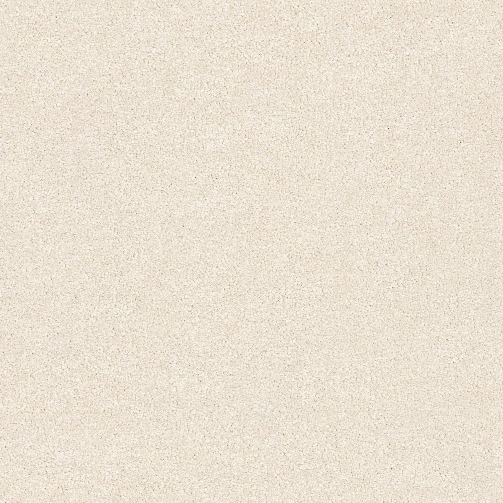 STAINMASTER C707200018 PetProtect Best In Show- Companion Plush Indoor Carpet