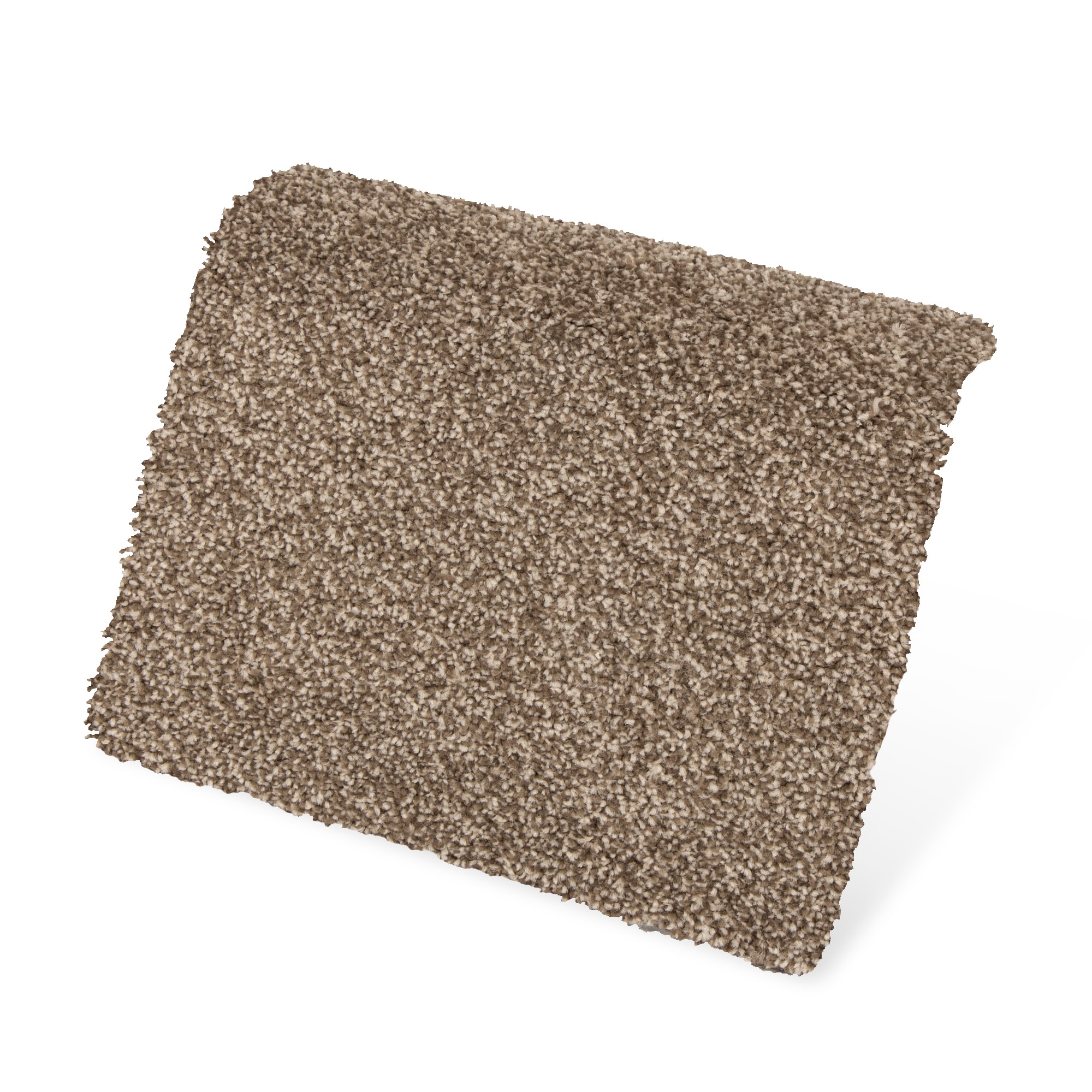 STAINMASTER SS019-L005-0808 Carpet-Samples - View #4