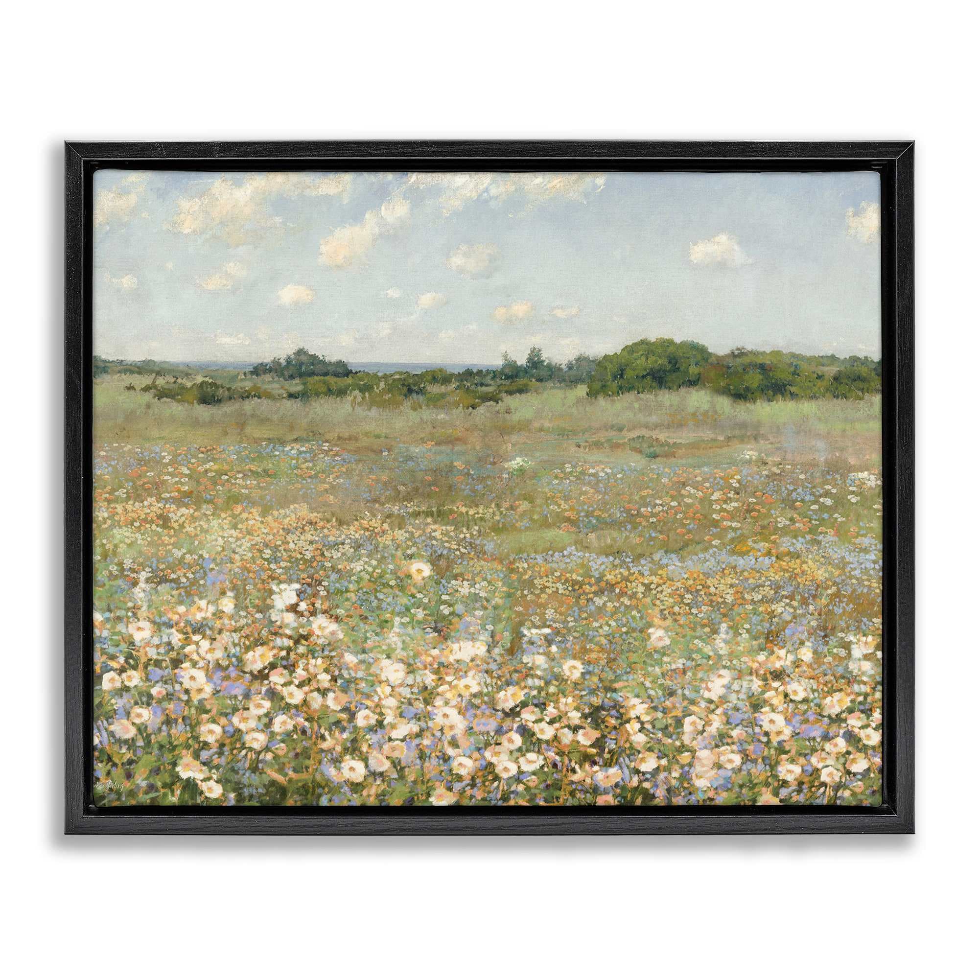 Stupell Industries BS-670-FFB-16X20 Vast Flower Speckled Meadow Black Framed Floater Canvas Wall Art By Amber Sterling 21 x 17