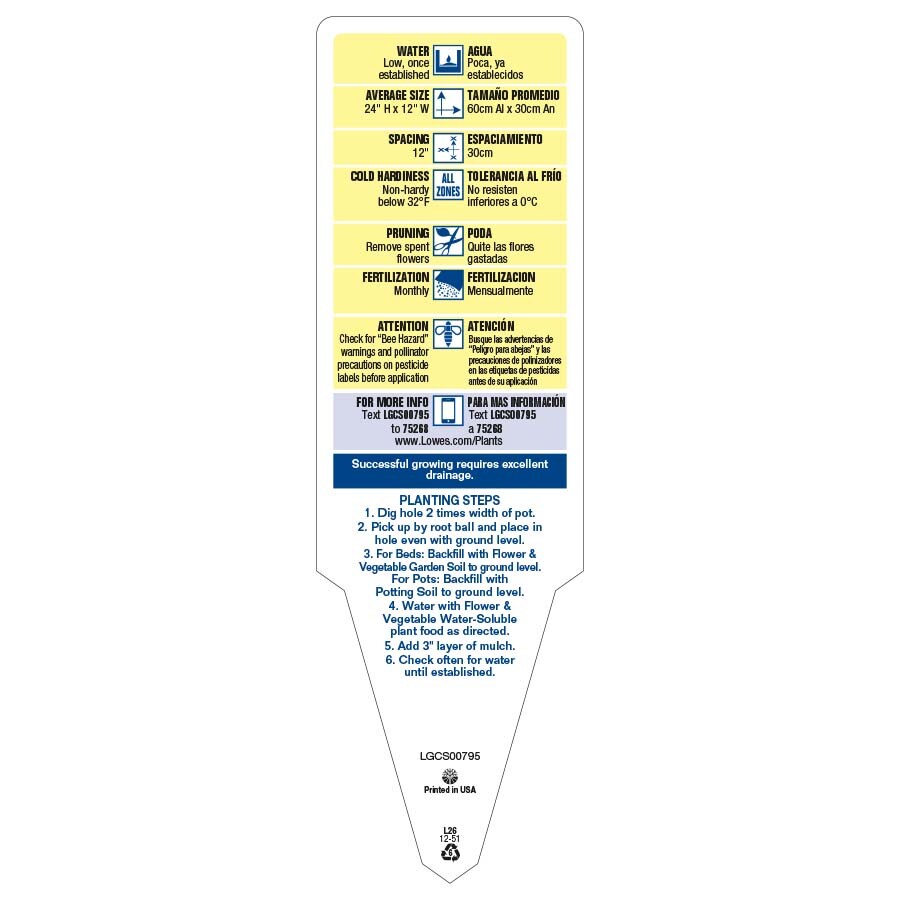 Lowe's 94004 annuals - View #6