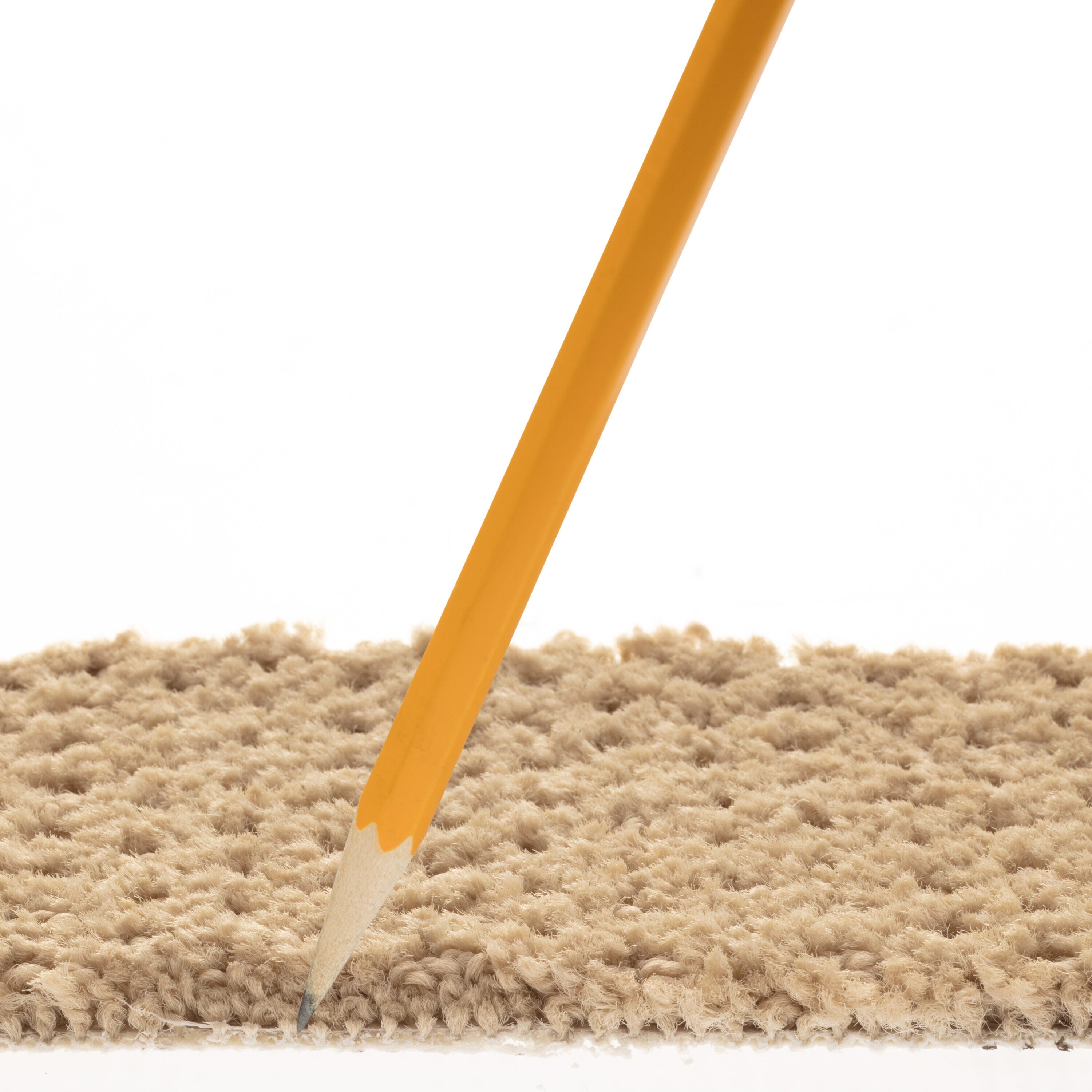 STAINMASTER 7L905 - 783 - SAMP Carpet-Samples - View #7