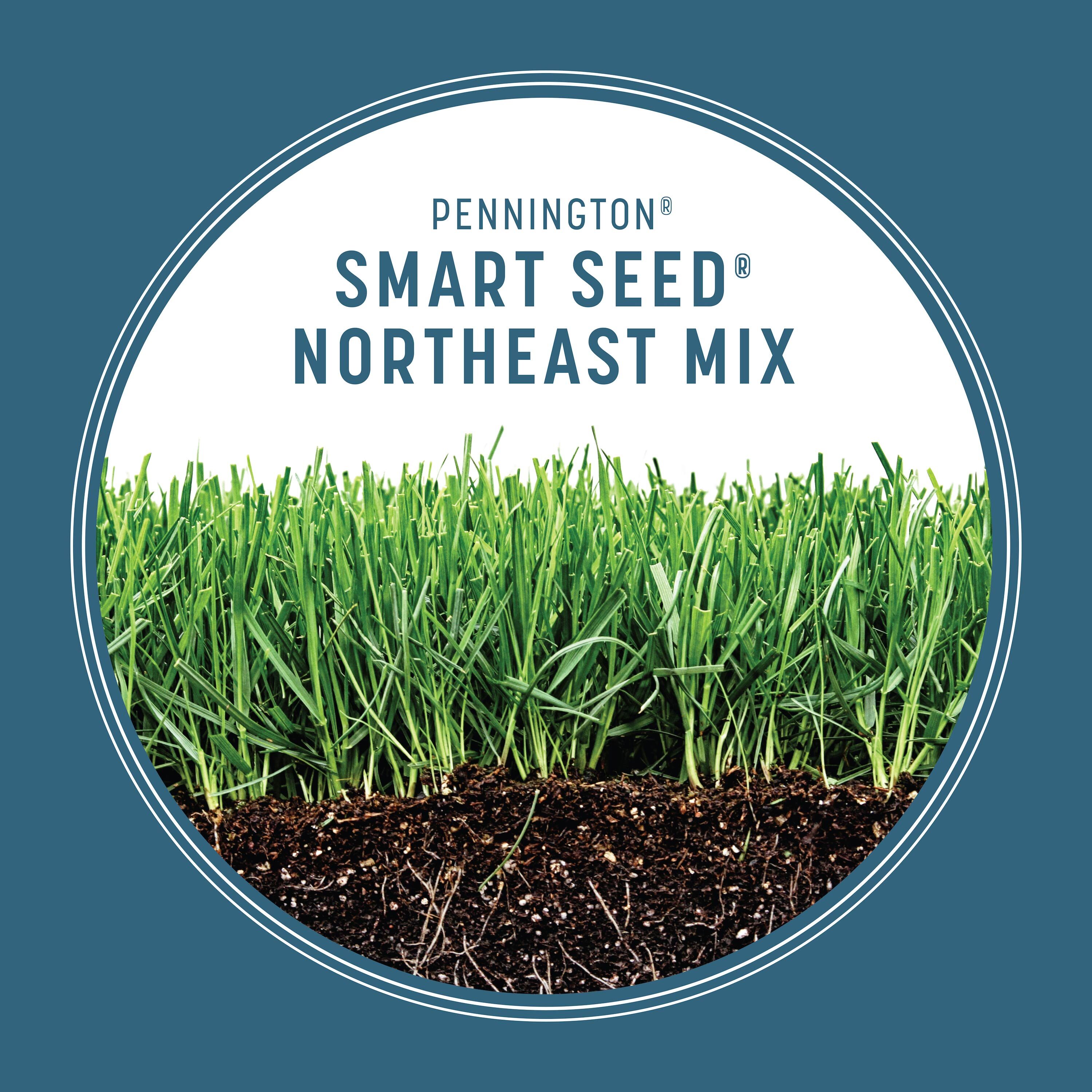 Pennington 100550237 Grass-Seed - View #7
