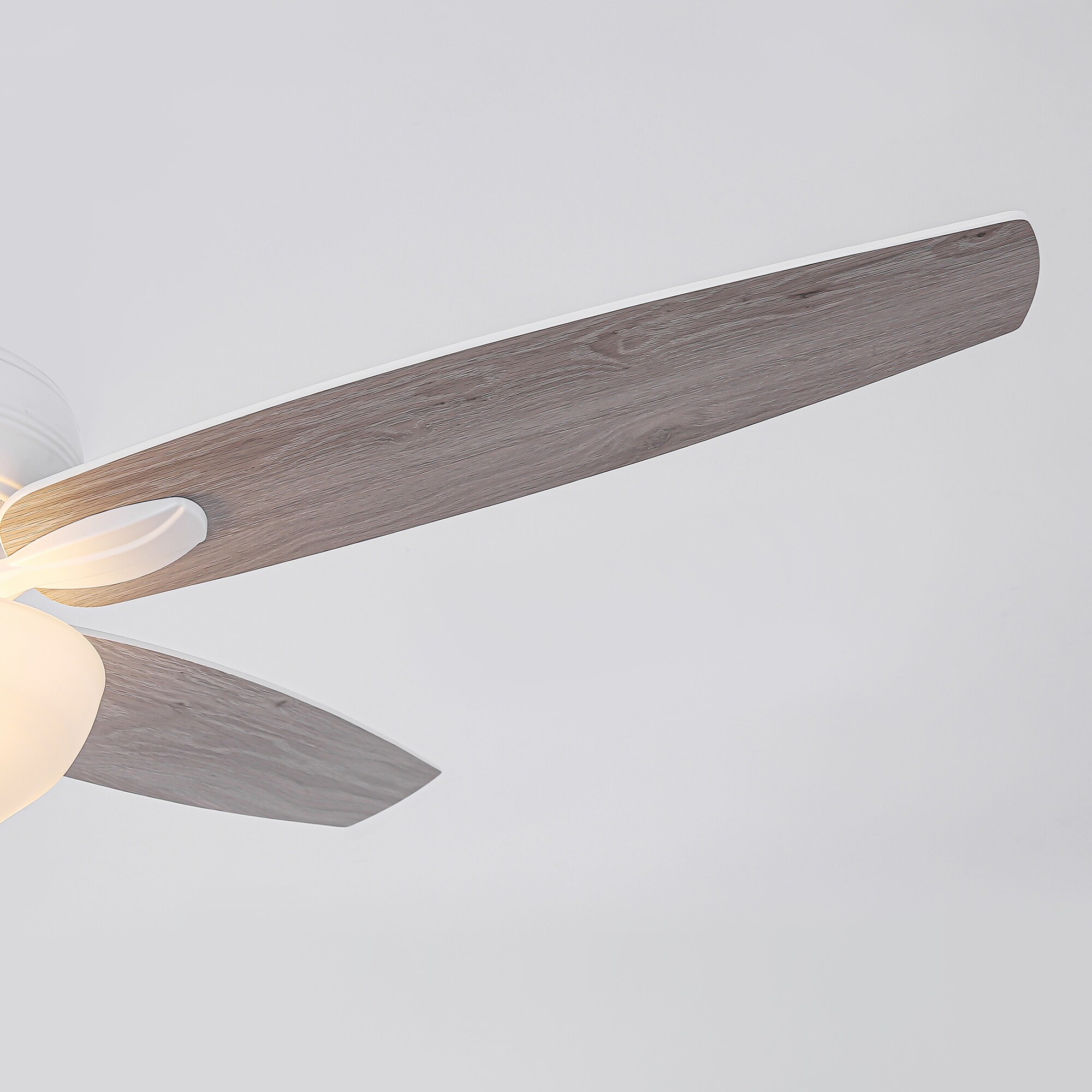 Matrix Decor CF717WSW02 Ceiling-Fans - View #9
