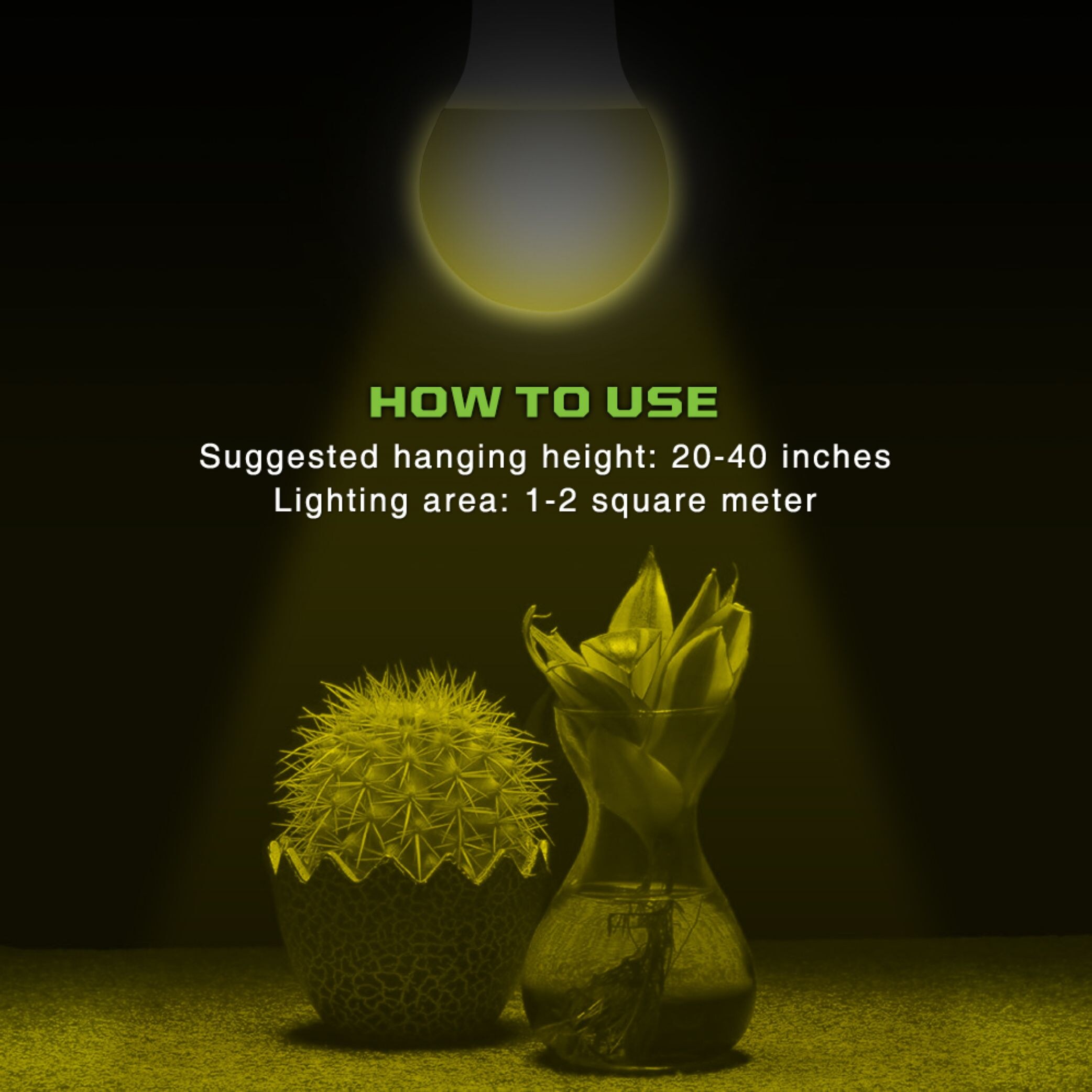 Bluex Bulbs GROW-WHITE-A19-9W Grow-Light-Bulbs - View #3