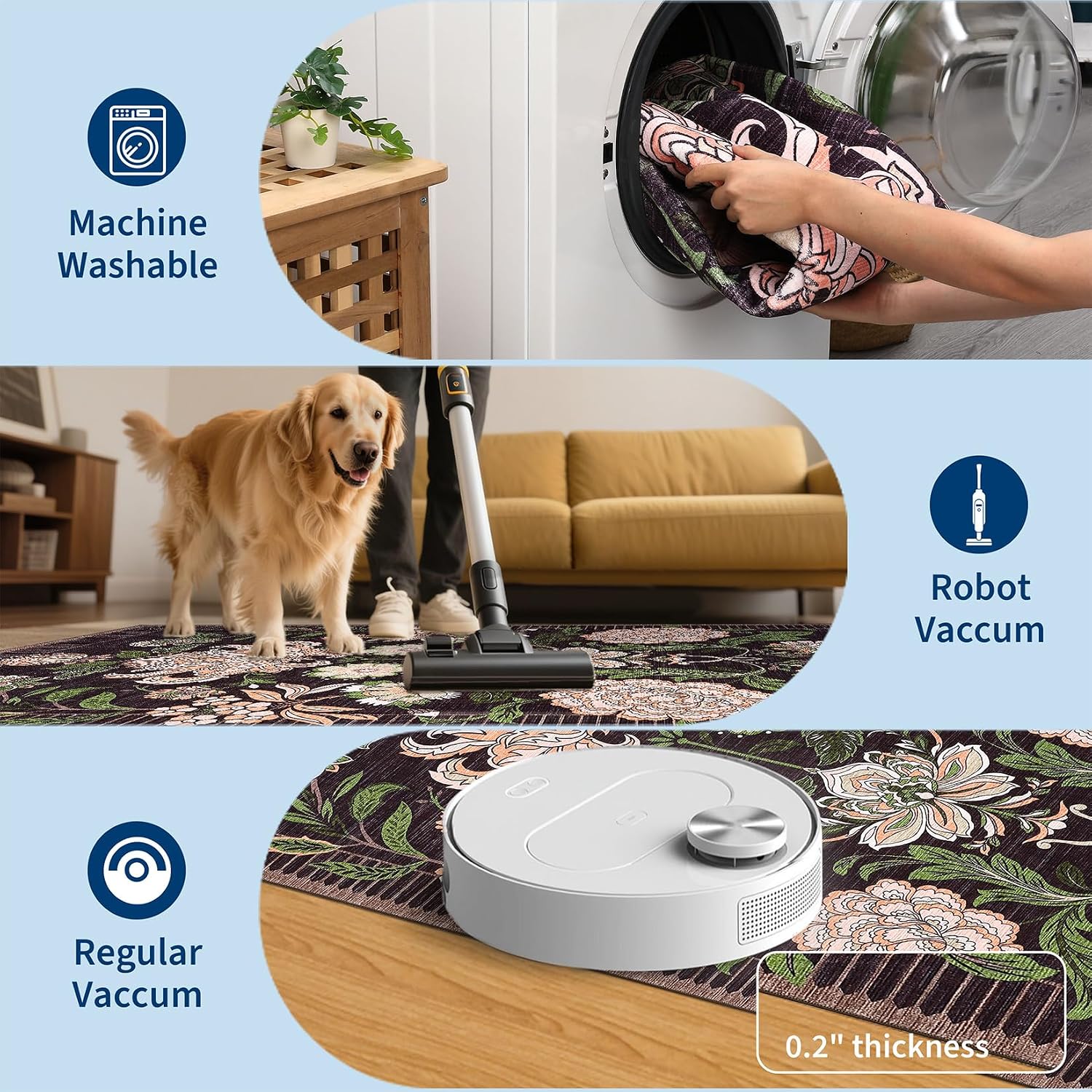 Assile XH260820203 rugs - View #5